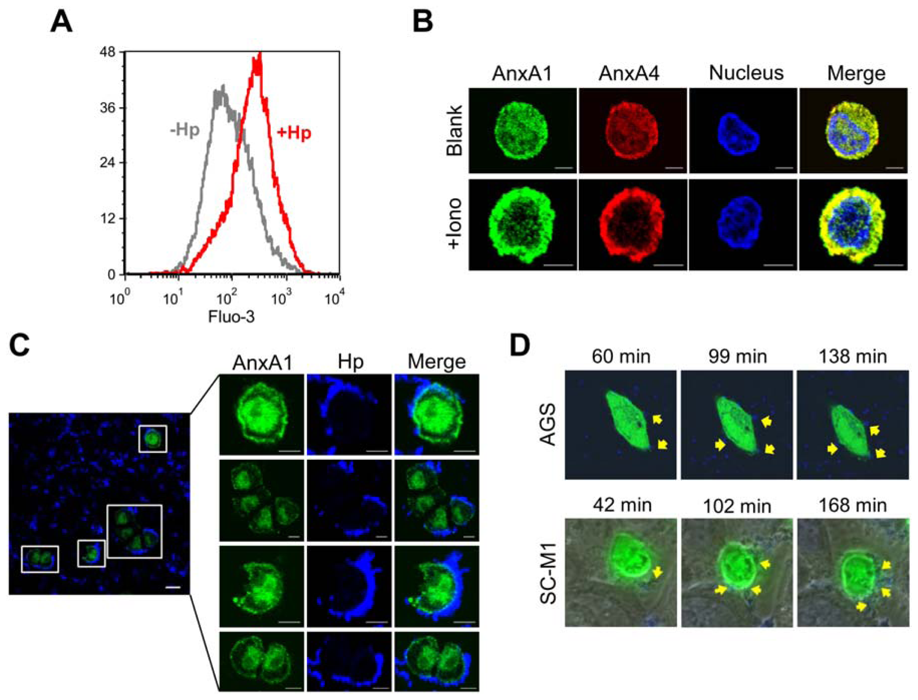 Ijms 13 10176f3 1024