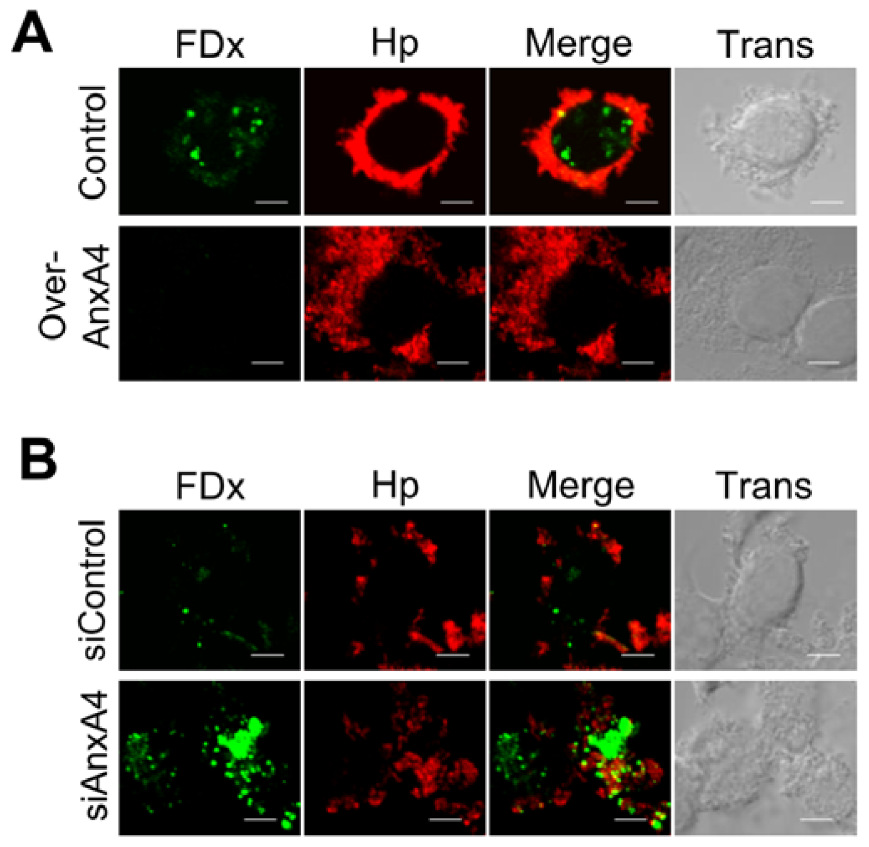 Ijms 13 10176f4 1024