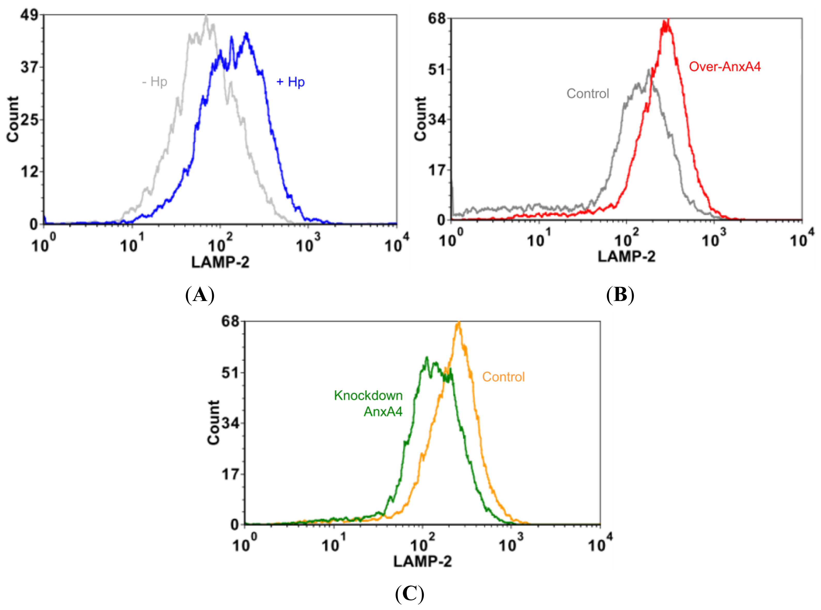 Ijms 13 10176f5 1024