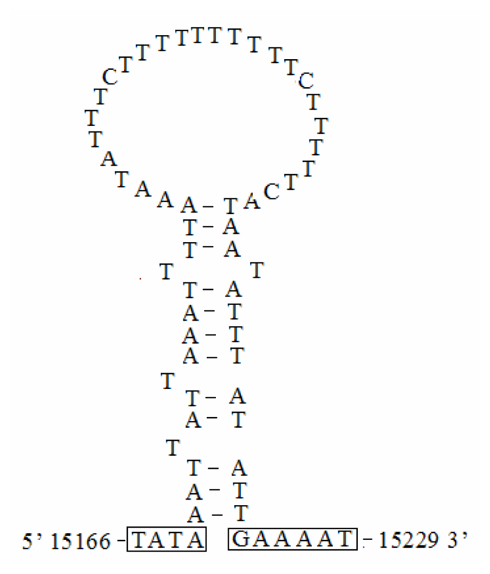 Ijms 13 10236f9 1024