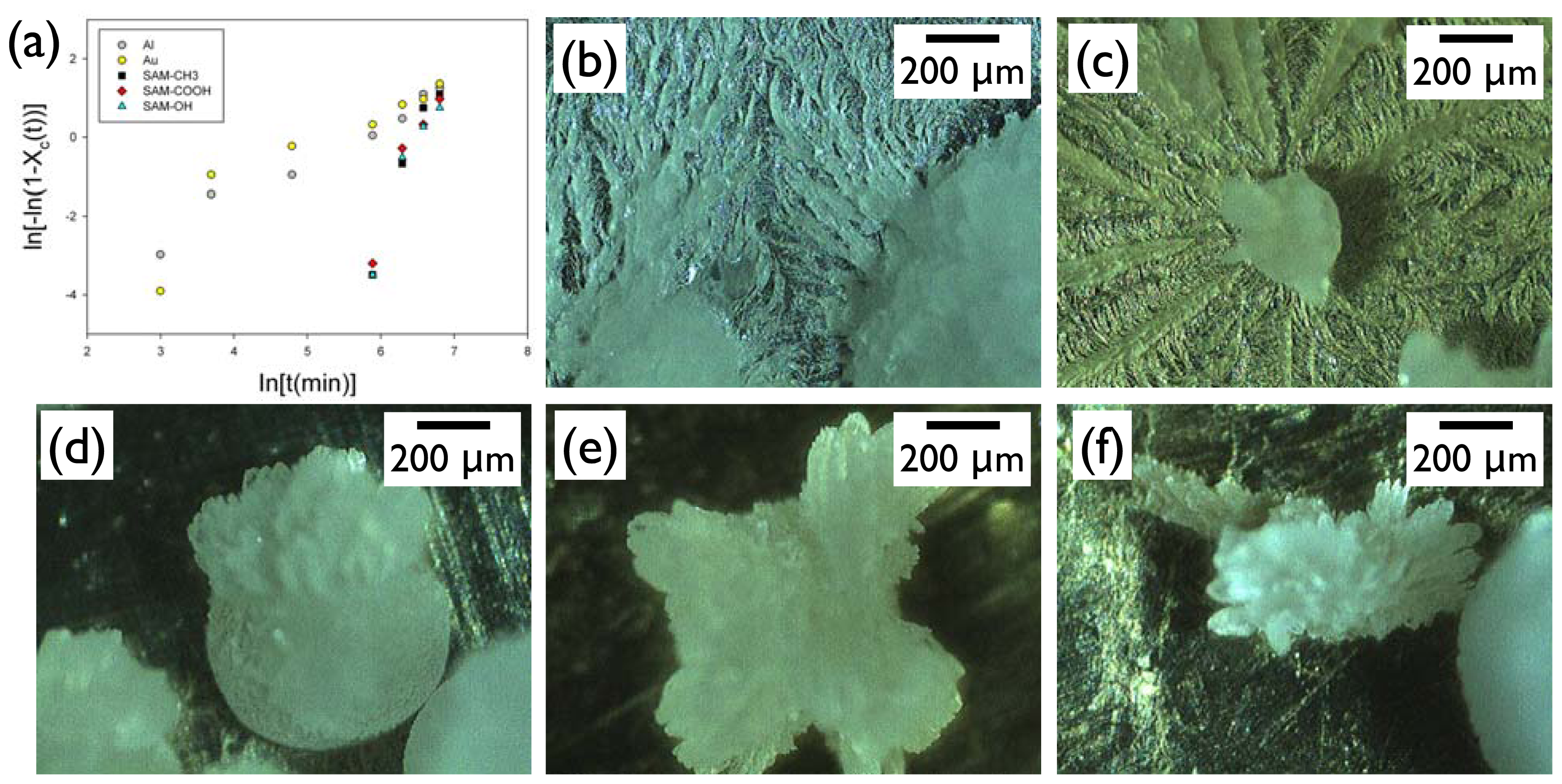 Ijms 13 10296f5 1024