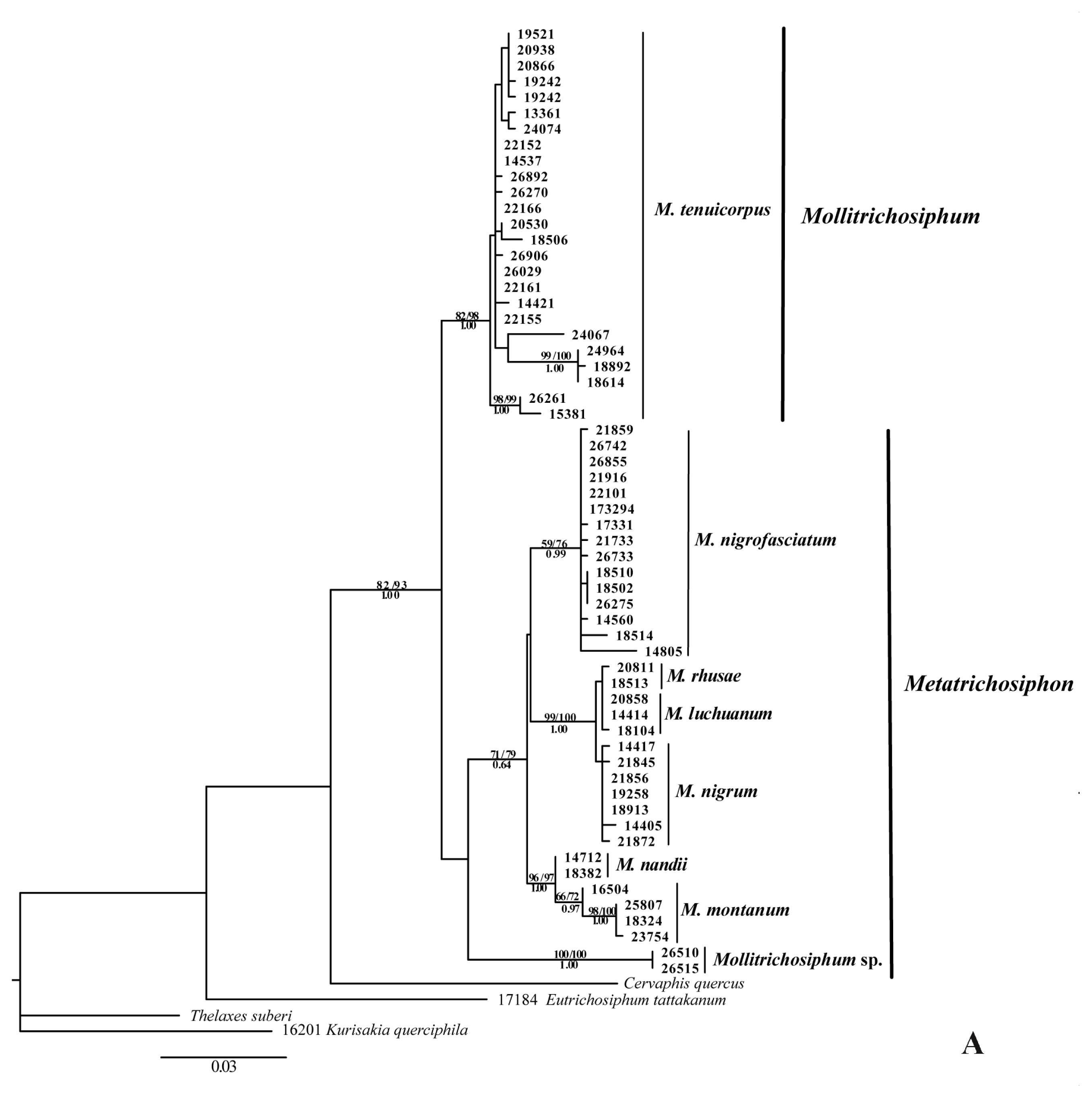 Ijms 13 10441f1a 1024