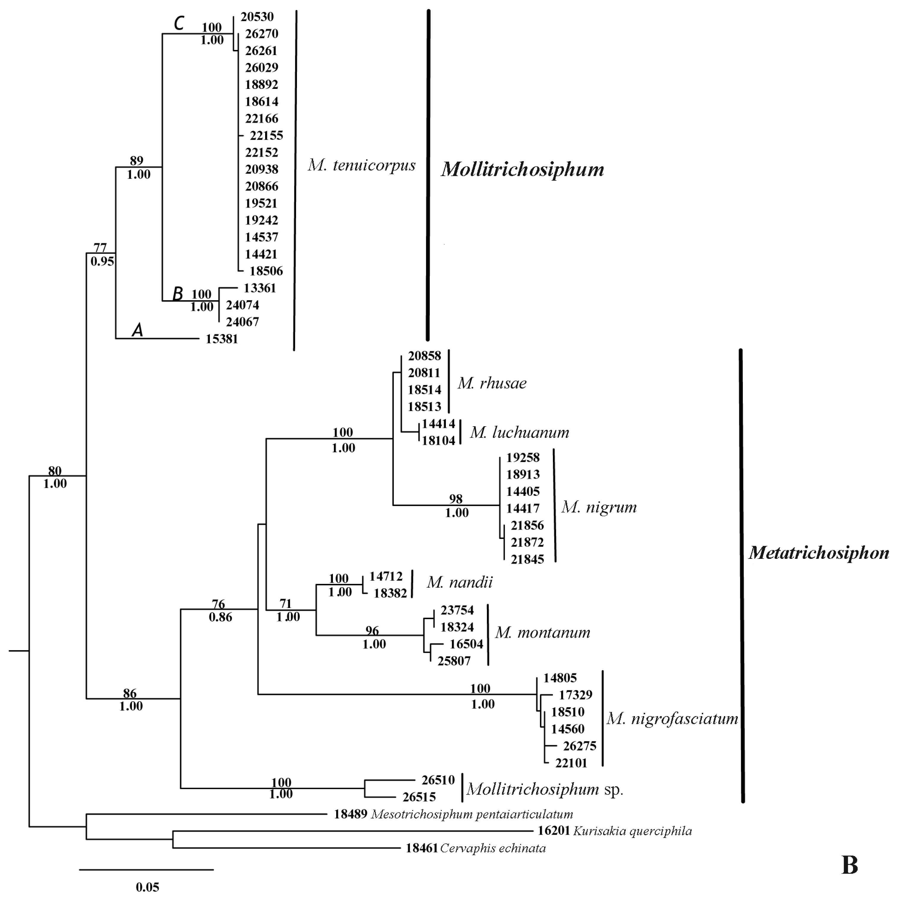 Ijms 13 10441f1b 1024