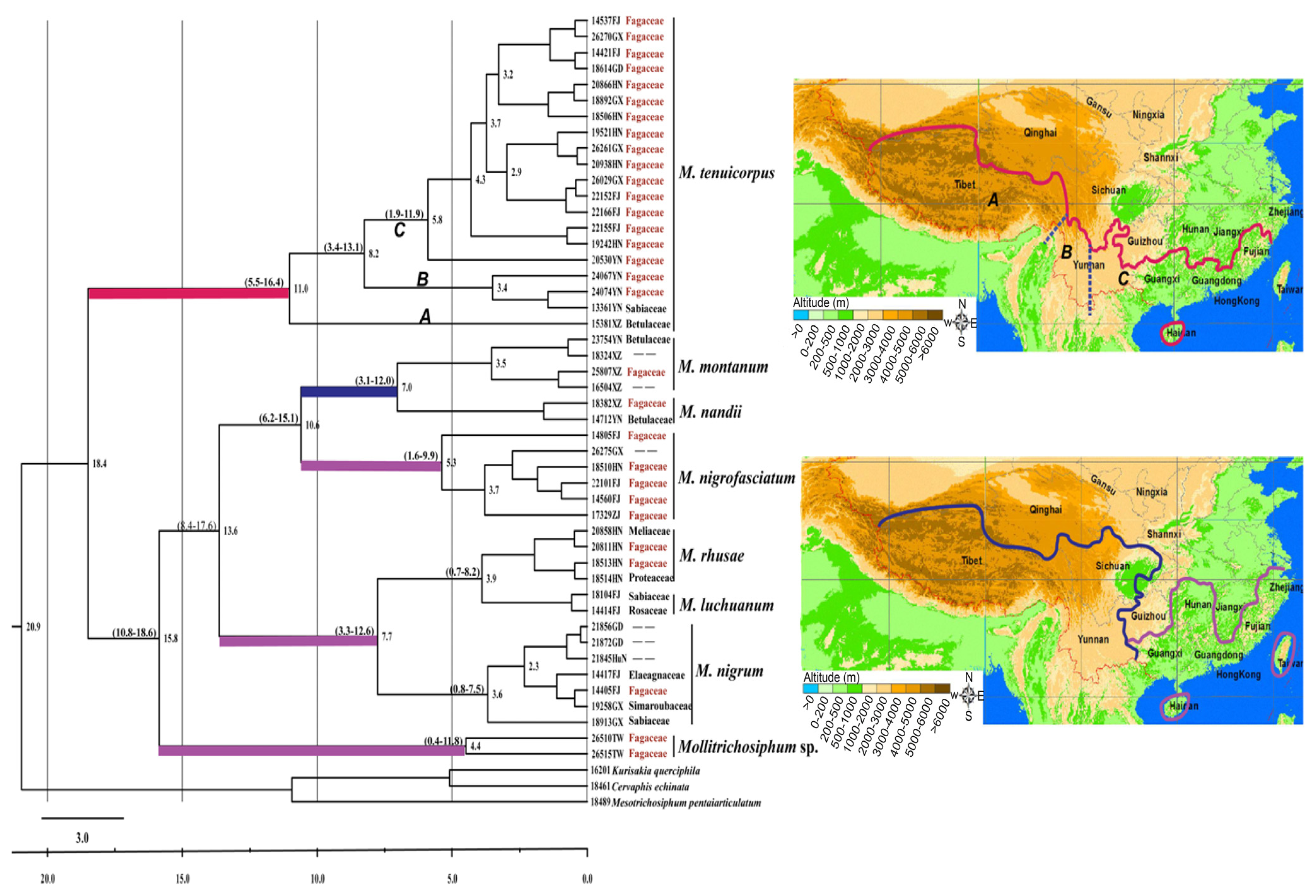 Ijms 13 10441f2 1024