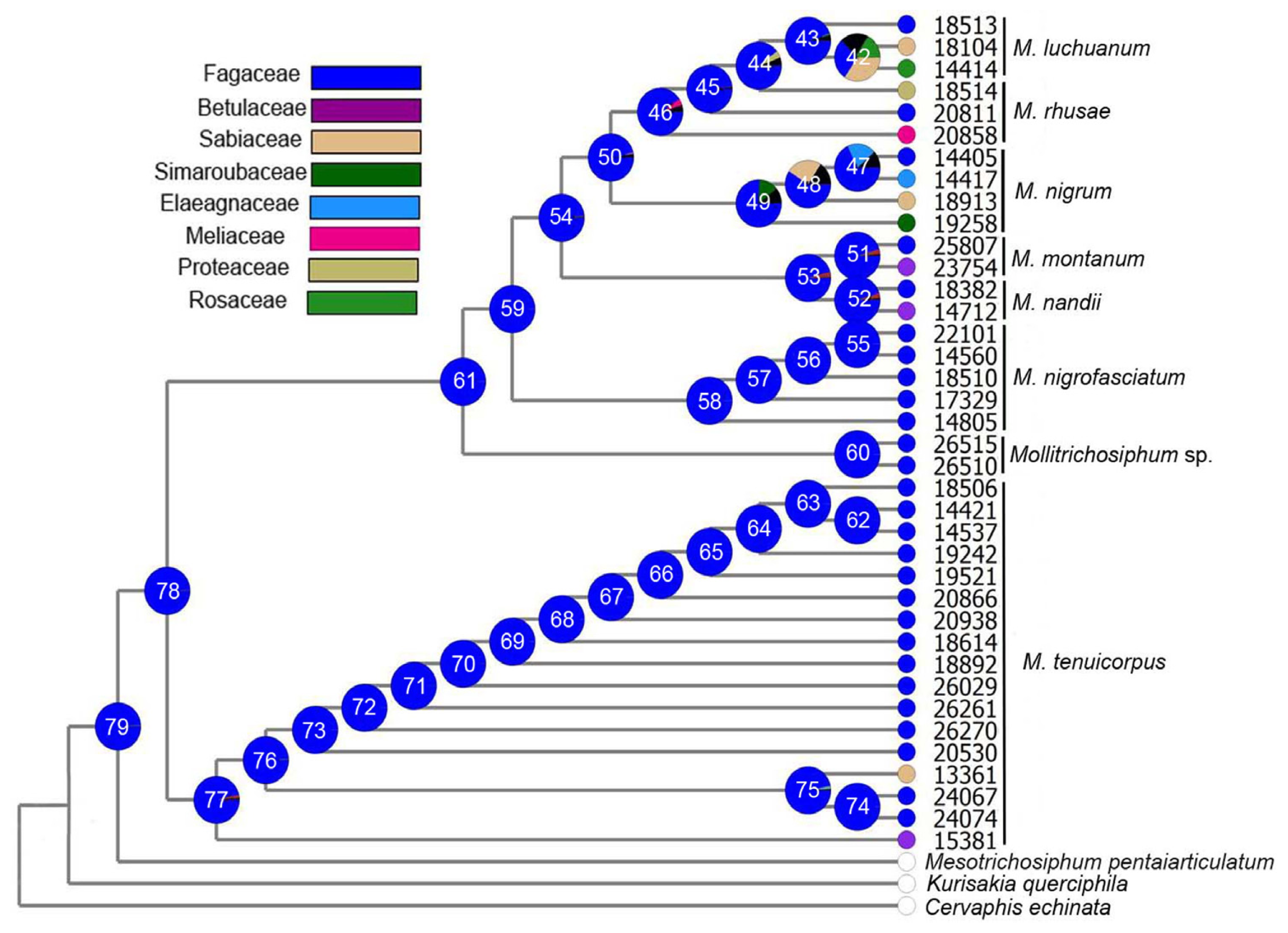 Ijms 13 10441f3 1024