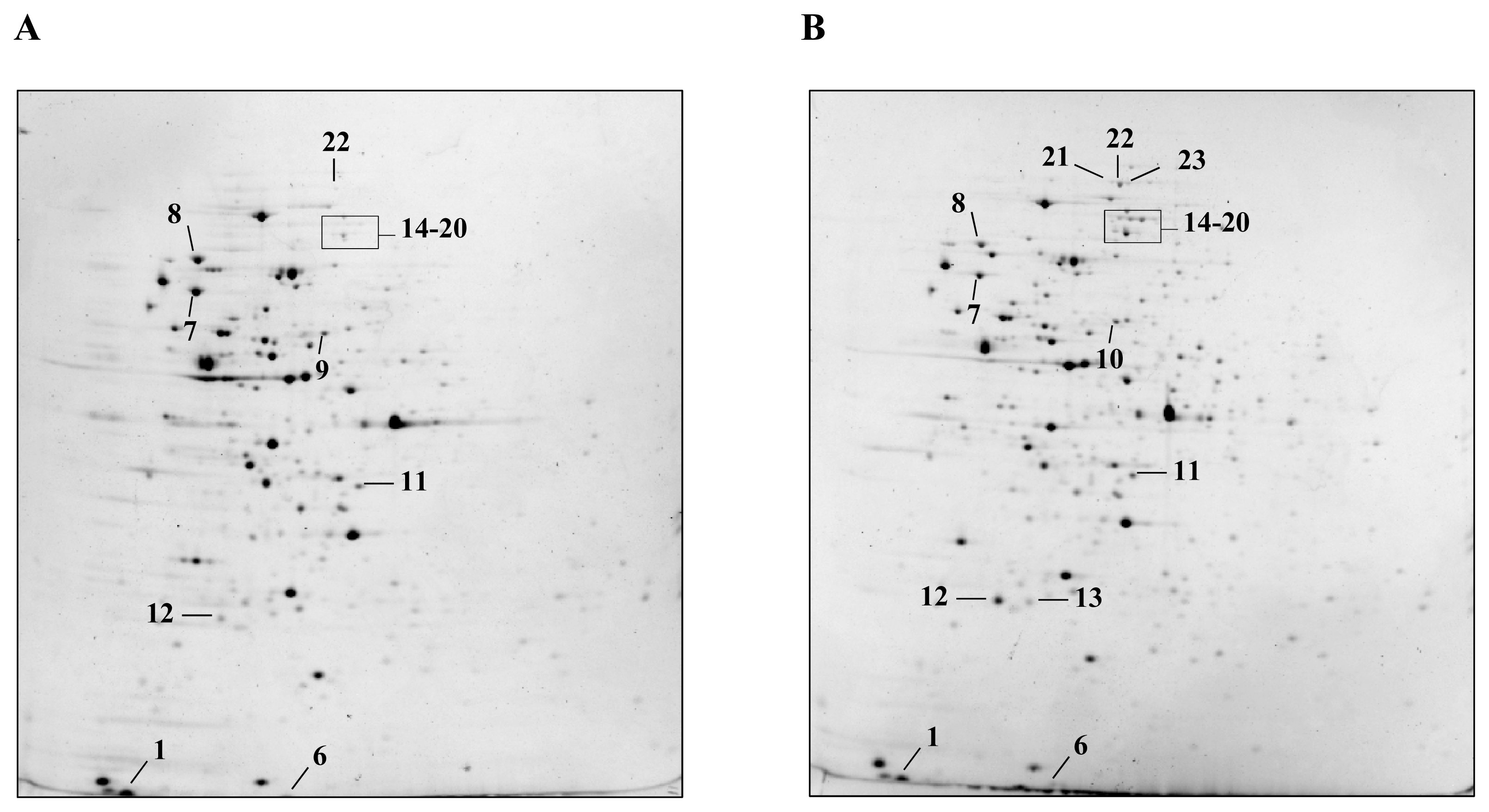 Ijms 13 10680f1a 1024
