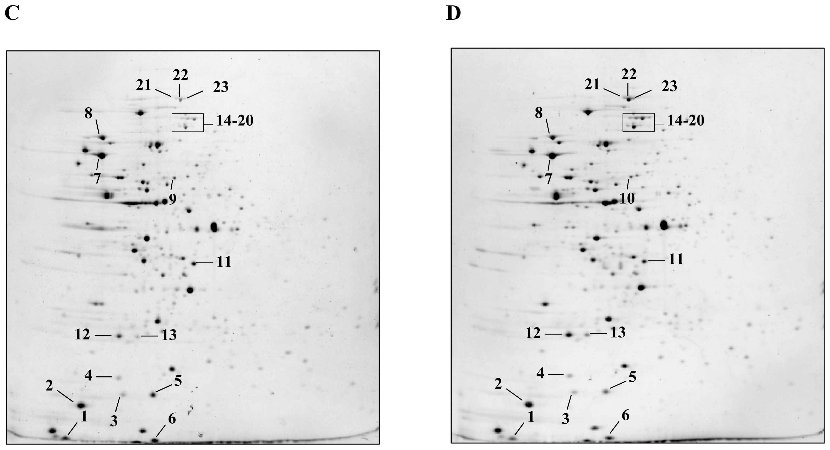 Ijms 13 10680f1b 1024