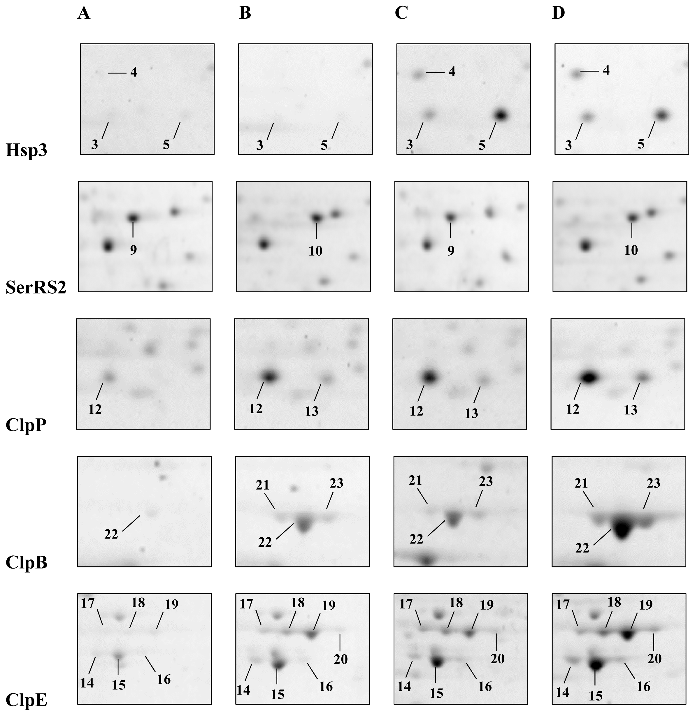 Ijms 13 10680f2 1024