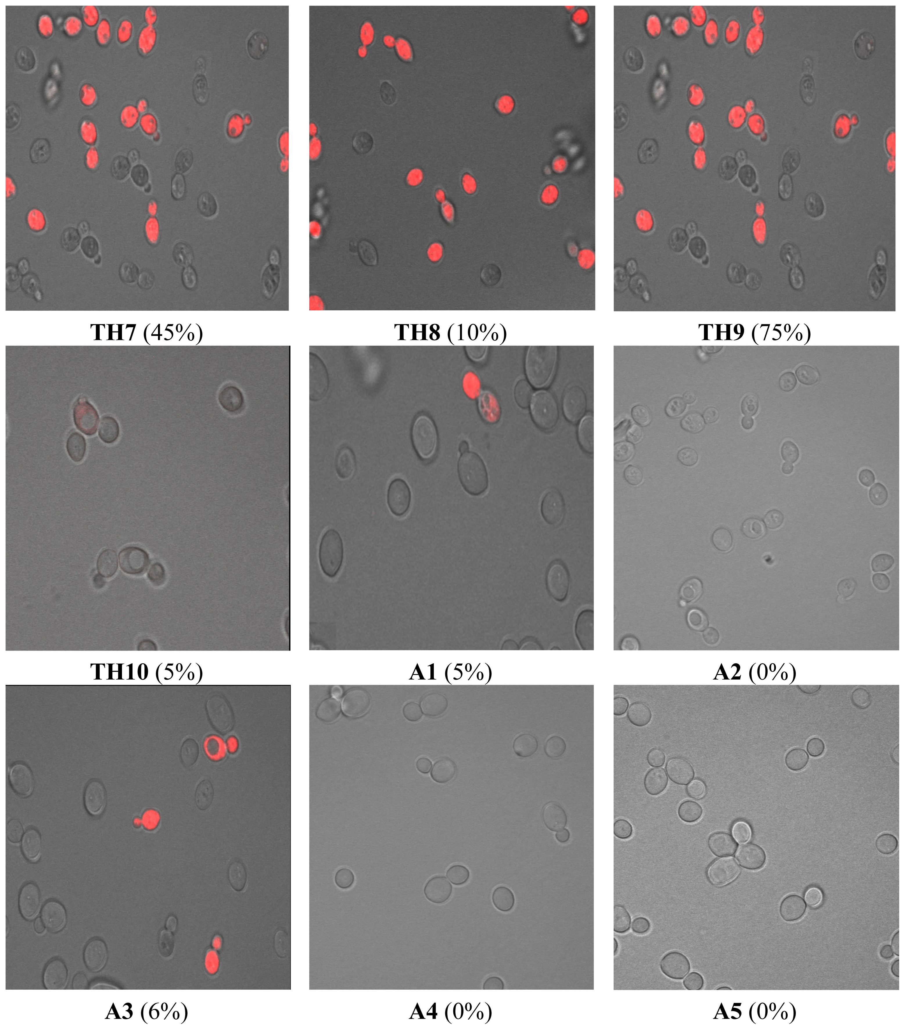 Ijms 13 10880f1b 1024