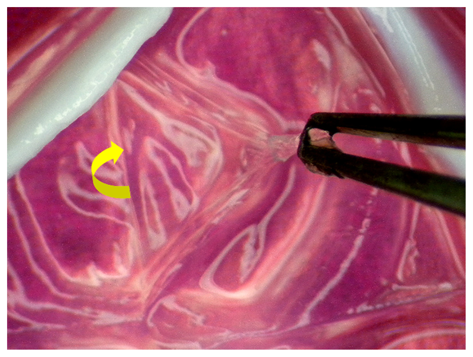 Ijms 13 10970f8 1024