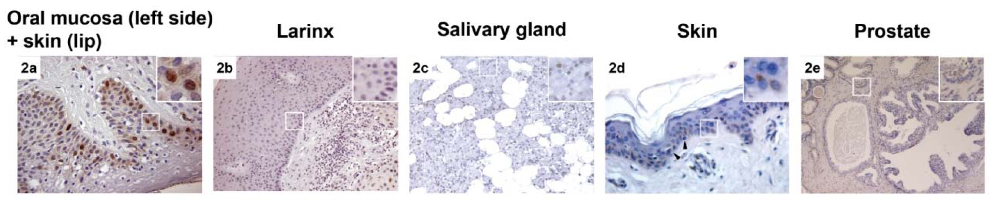 Ijms 13 11044f2 1024