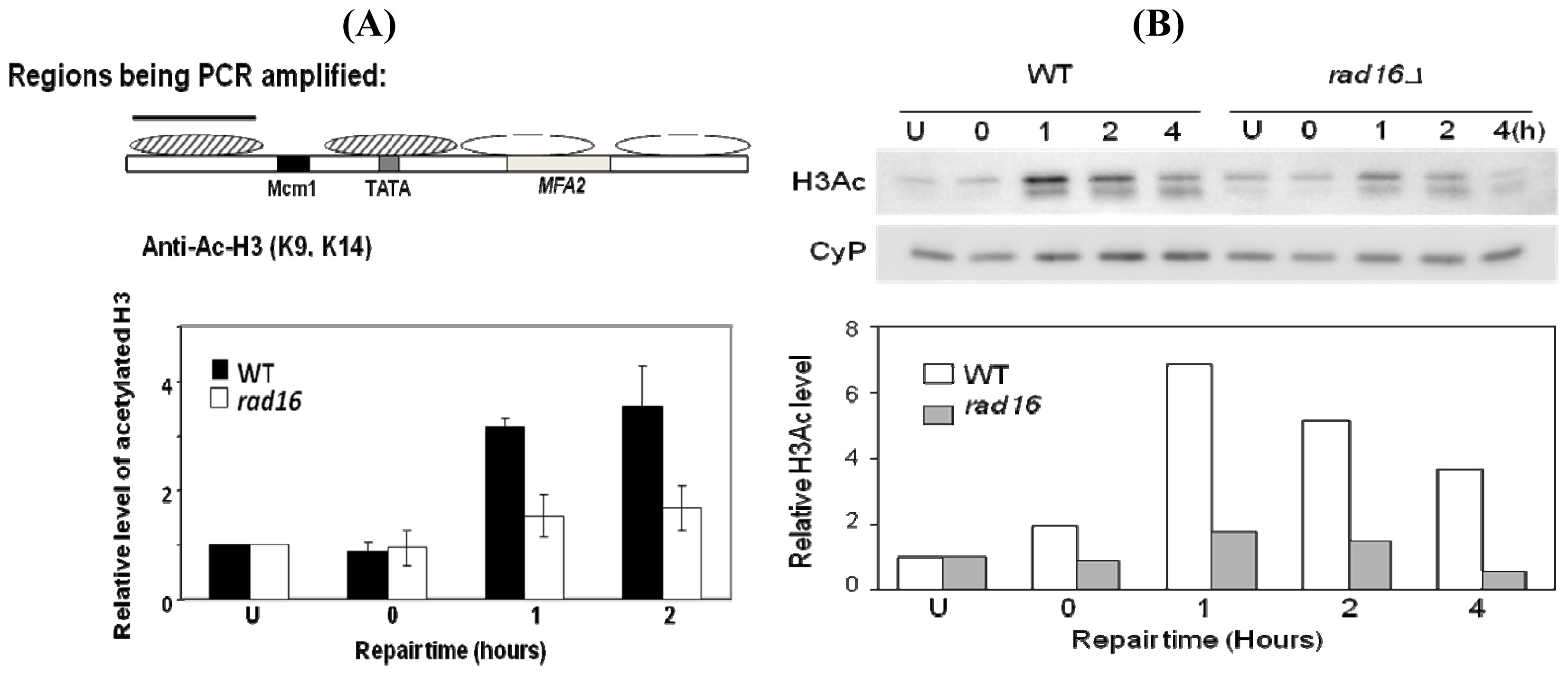 Ijms 13 11141f10 1024