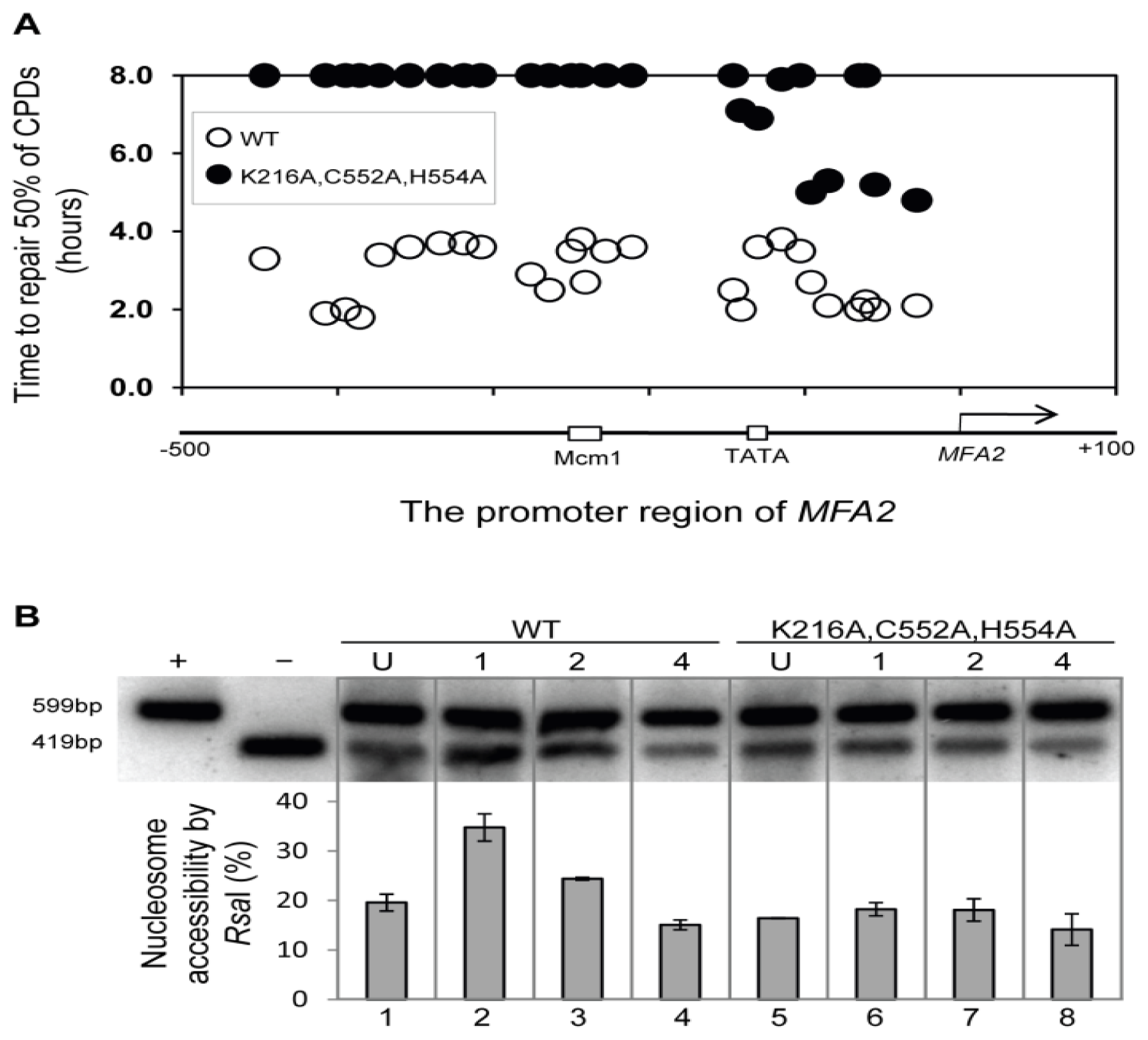 Ijms 13 11141f13 1024
