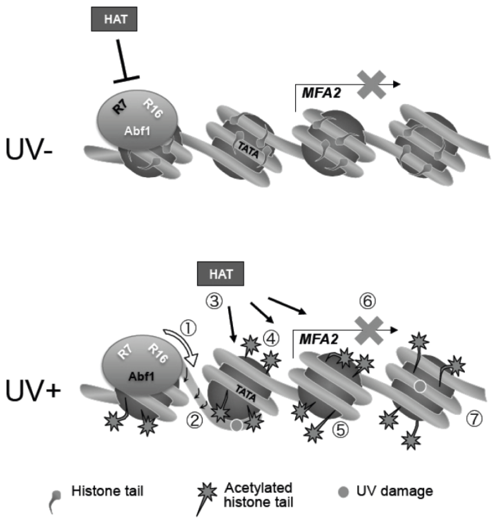 Ijms 13 11141f14 1024