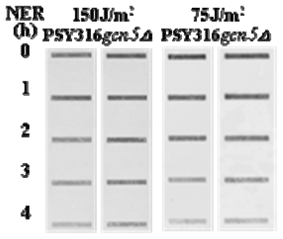 Ijms 13 11141f2 1024