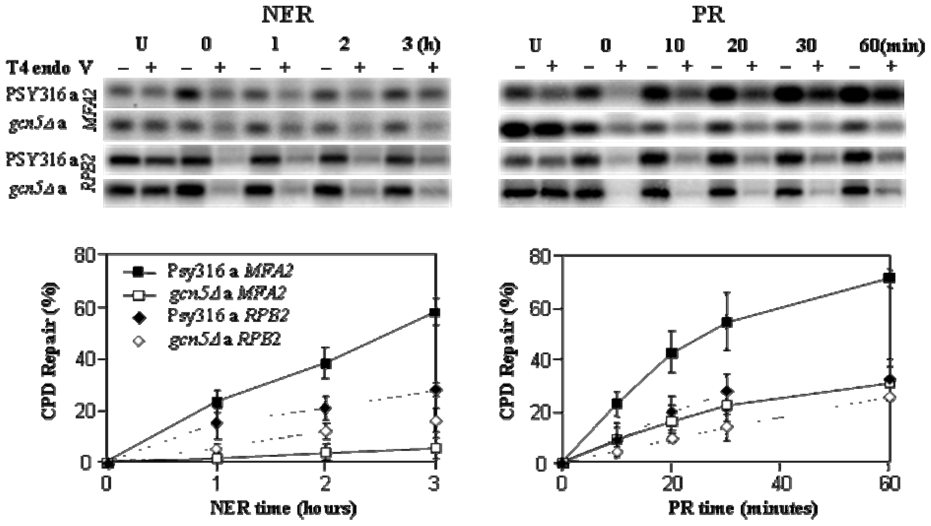 Ijms 13 11141f3 1024