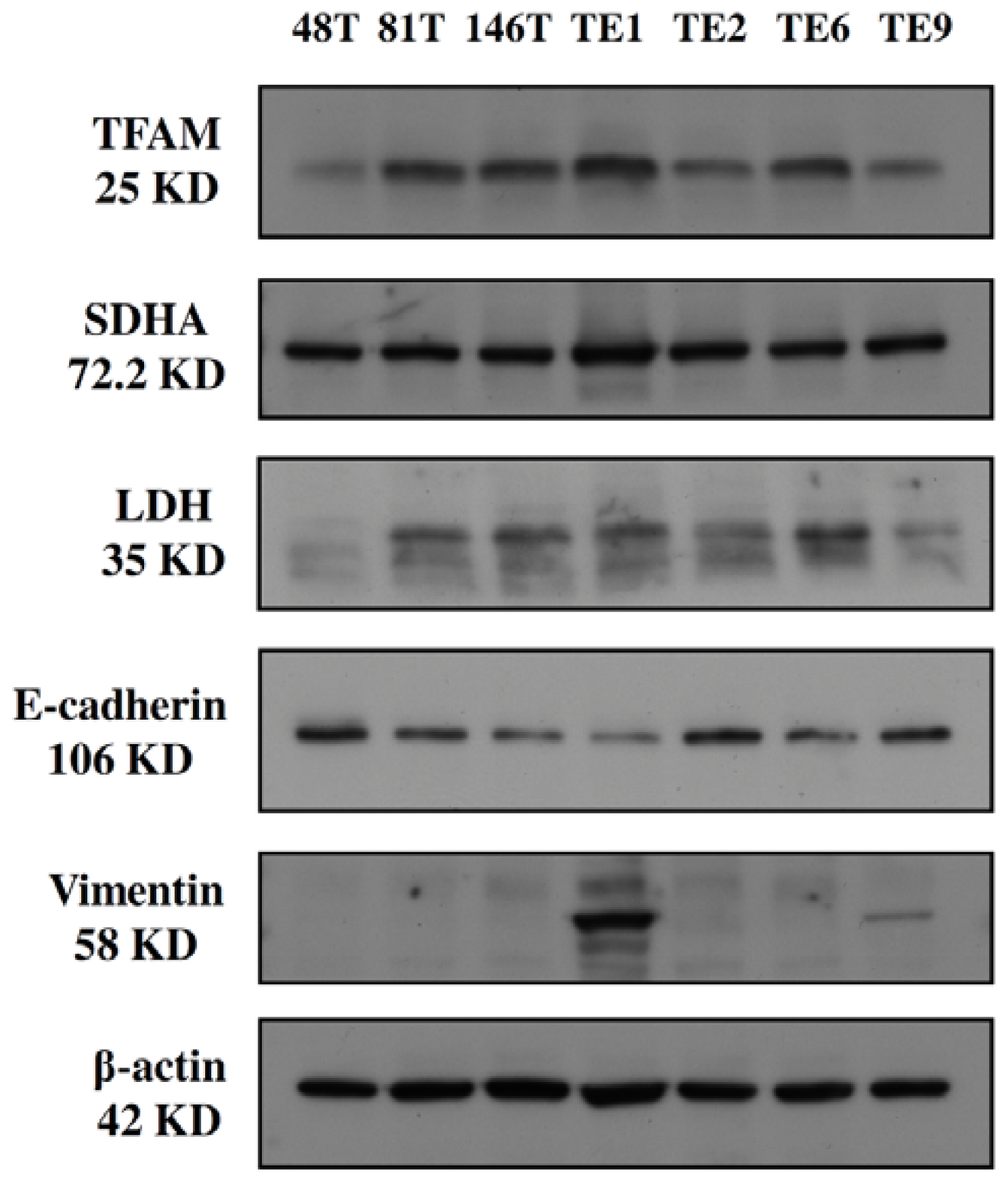 Ijms 13 11228f1 1024