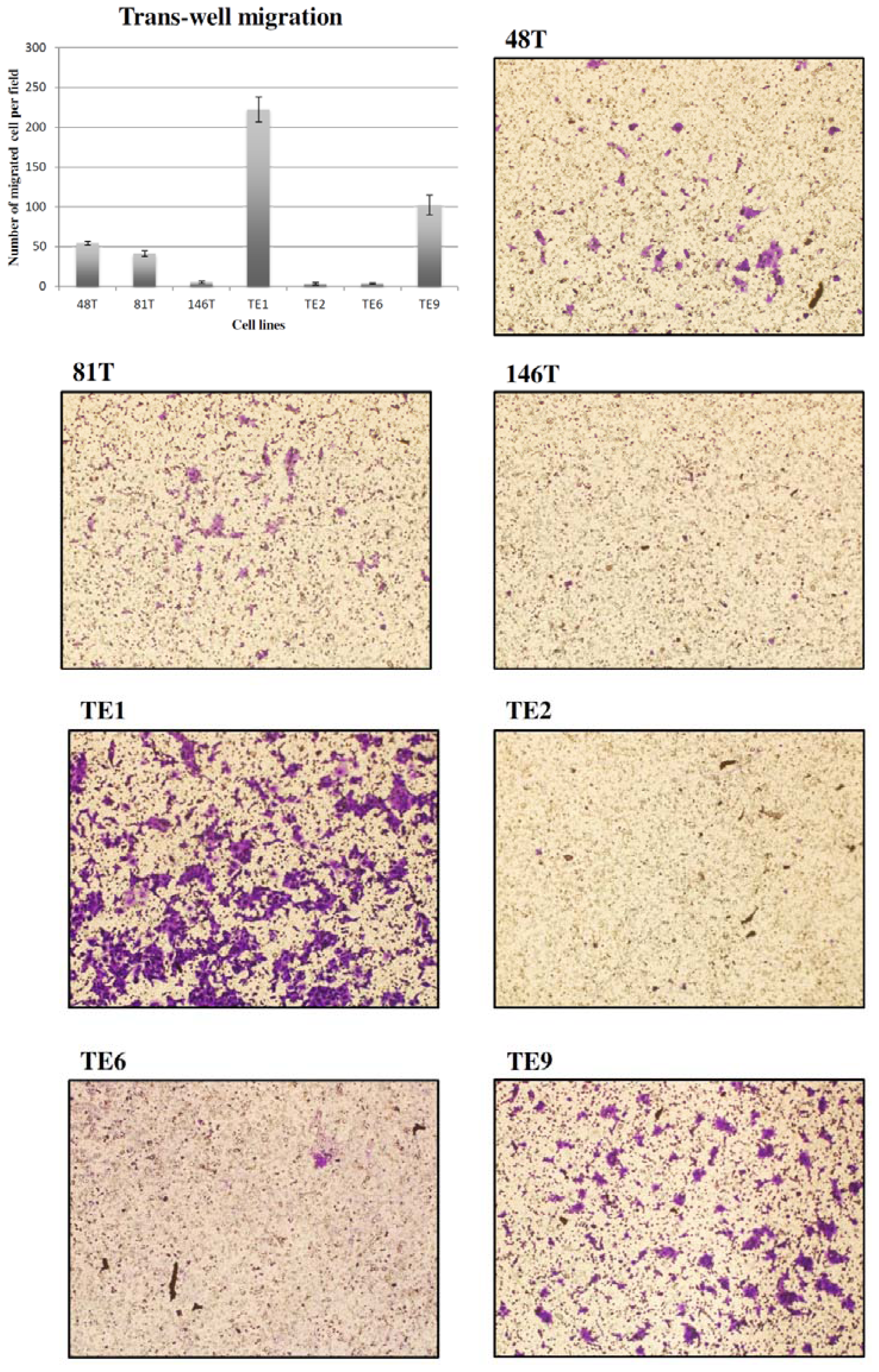 Ijms 13 11228f2 1024