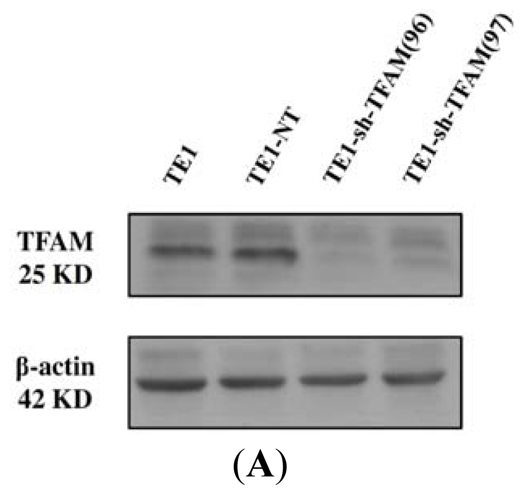 Ijms 13 11228f4a 1024