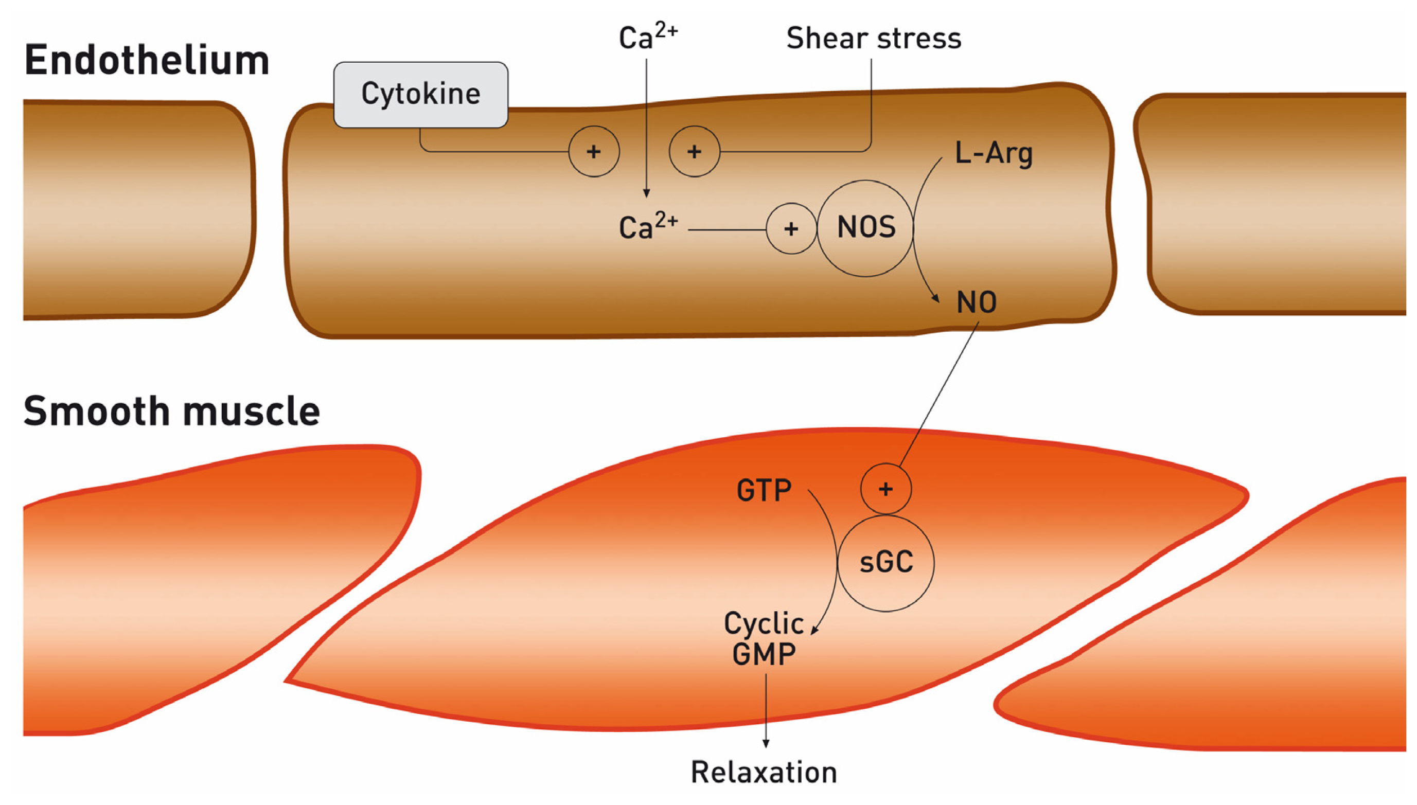 Ijms 13 11288f1 1024