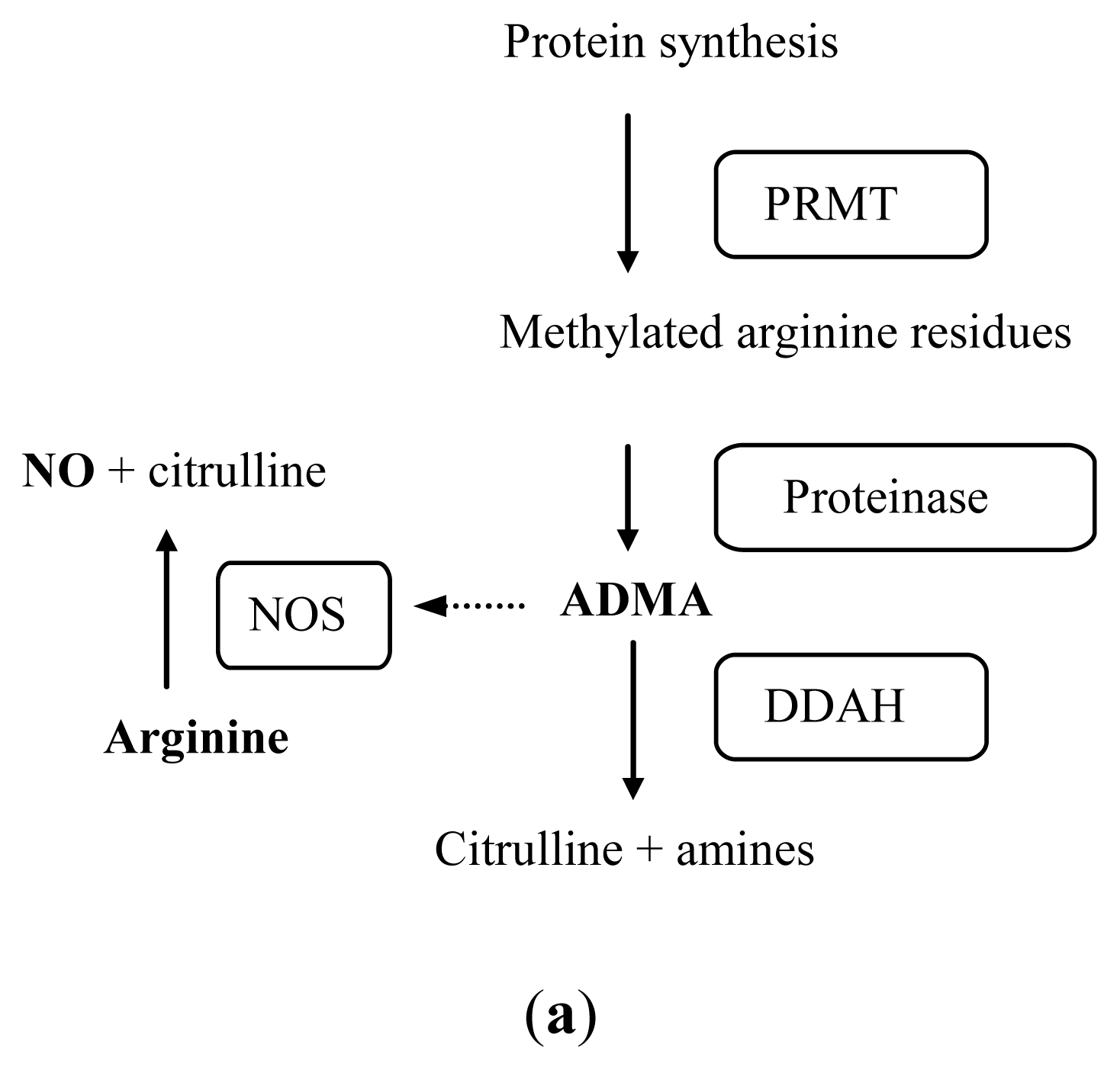 Ijms 13 11288f2a 1024