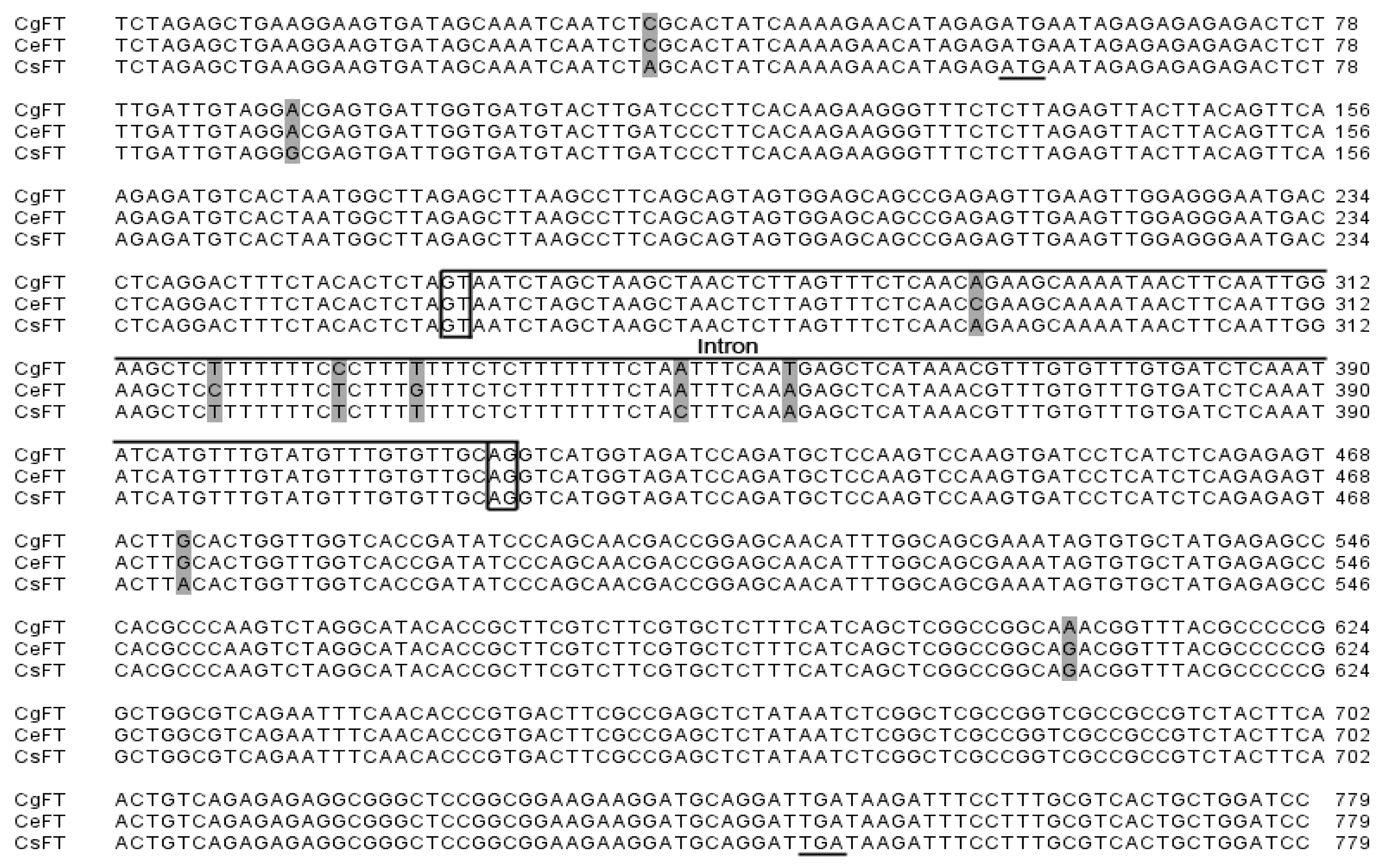 Ijms 13 11385f1 1024