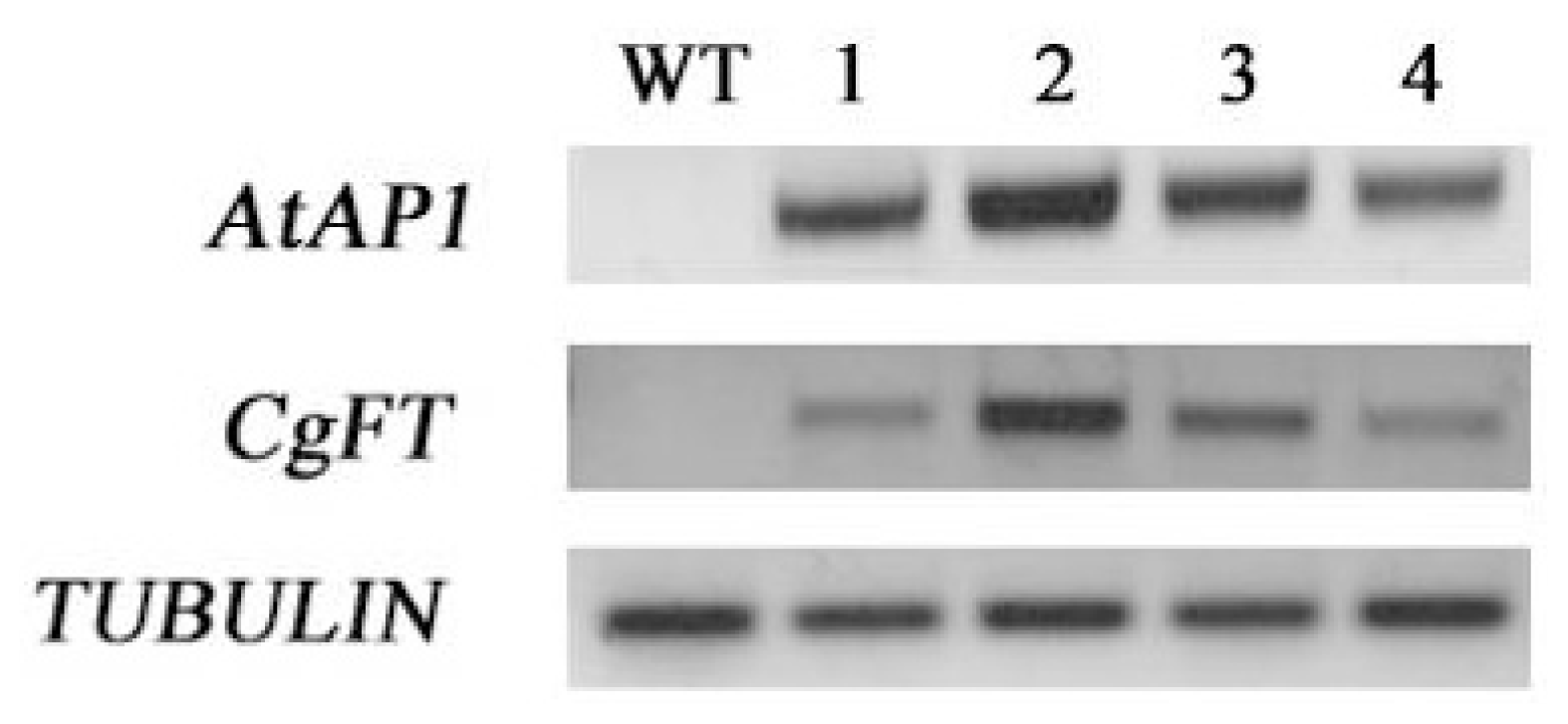 Ijms 13 11385f6 1024