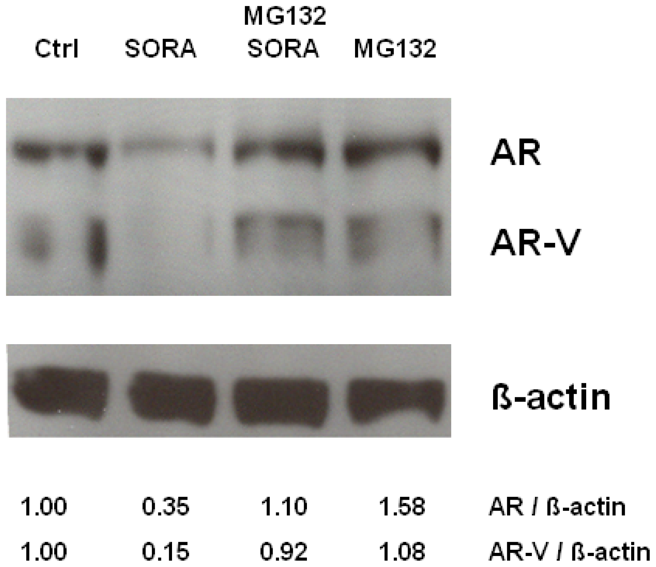 Ijms 13 11530f3 1024