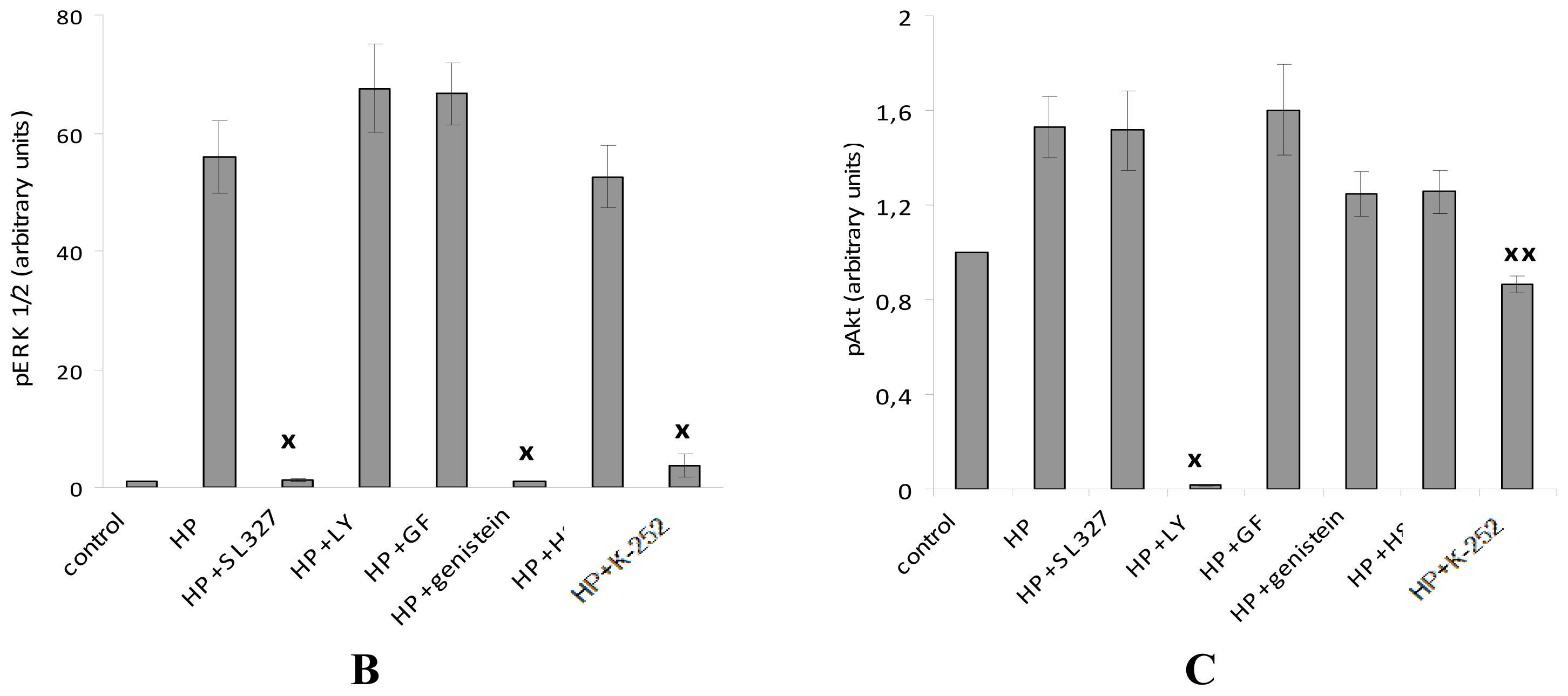 Ijms 13 11543f8b 1024