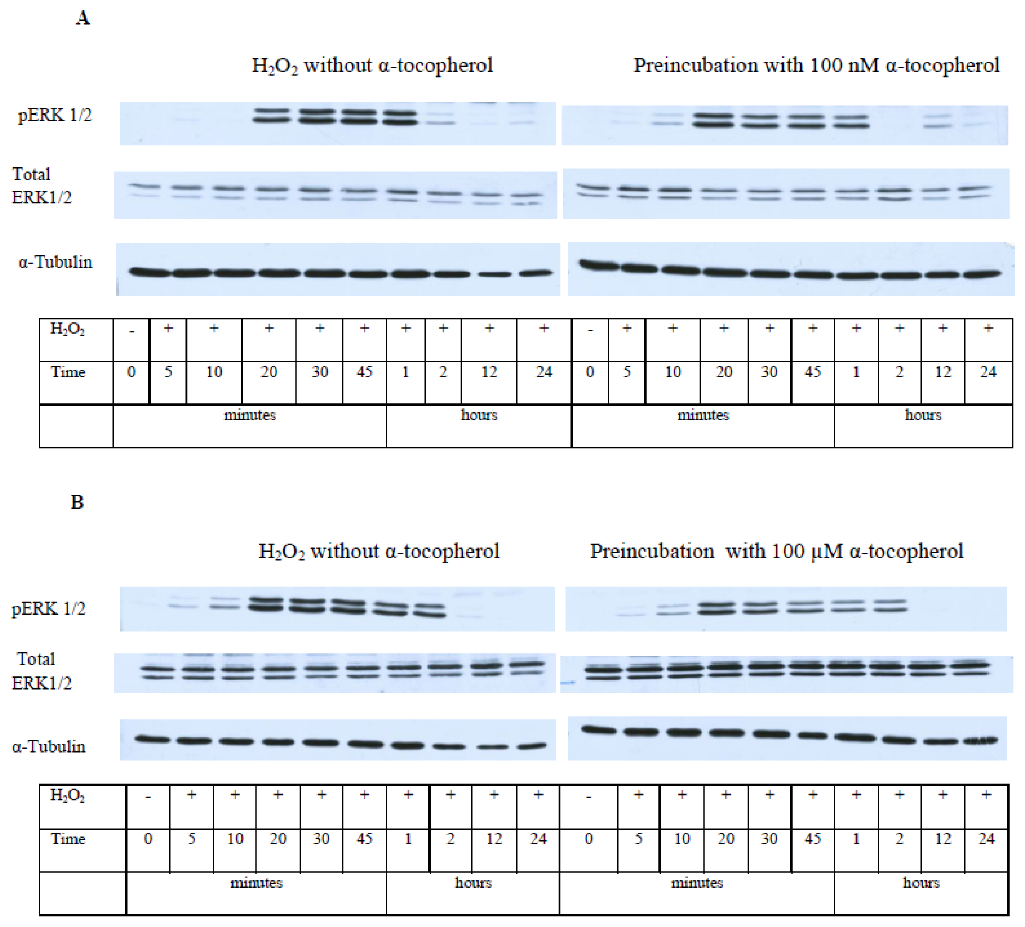 Ijms 13 11543f9a 1024