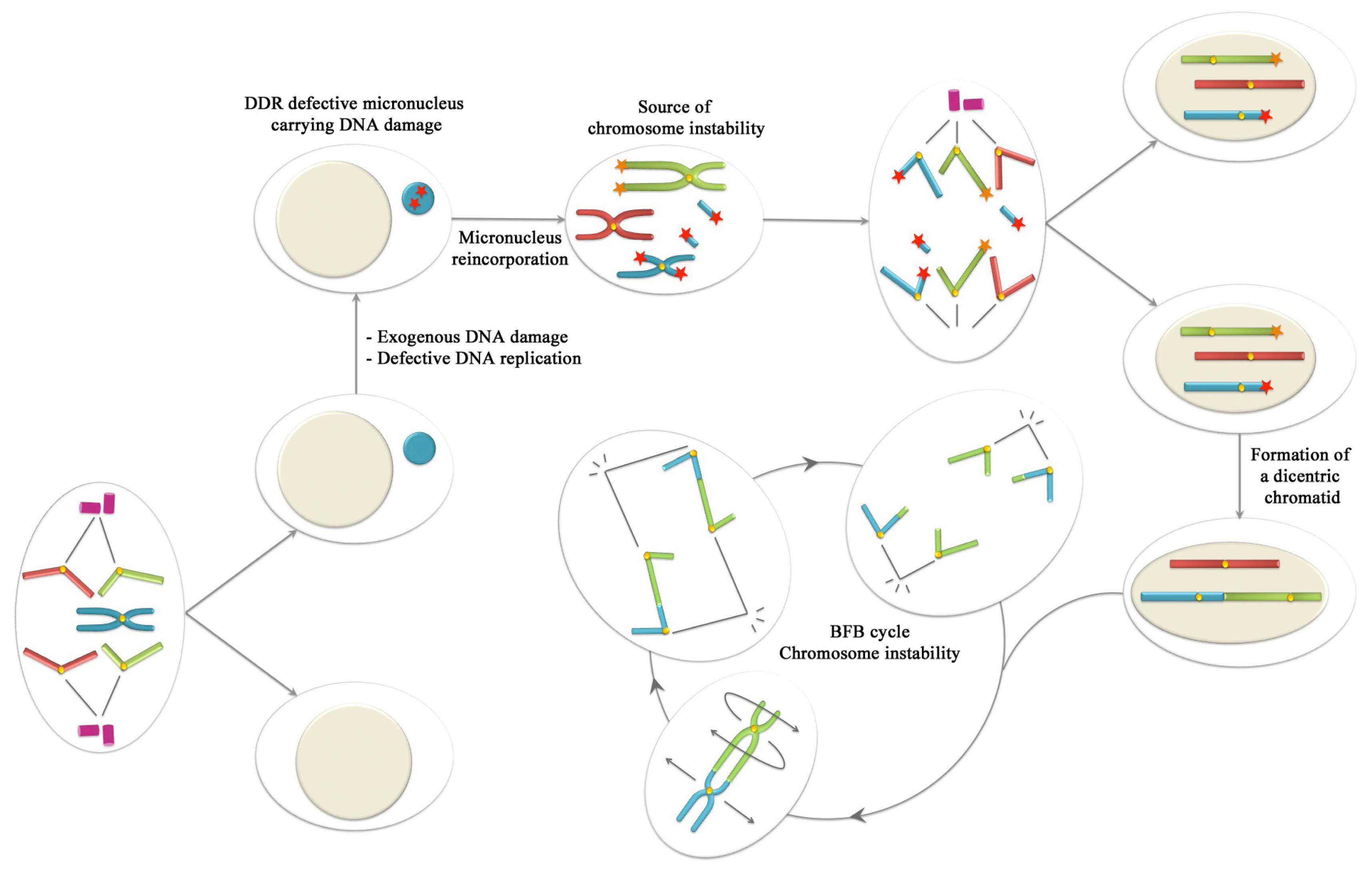 Ijms 13 11569f3 1024