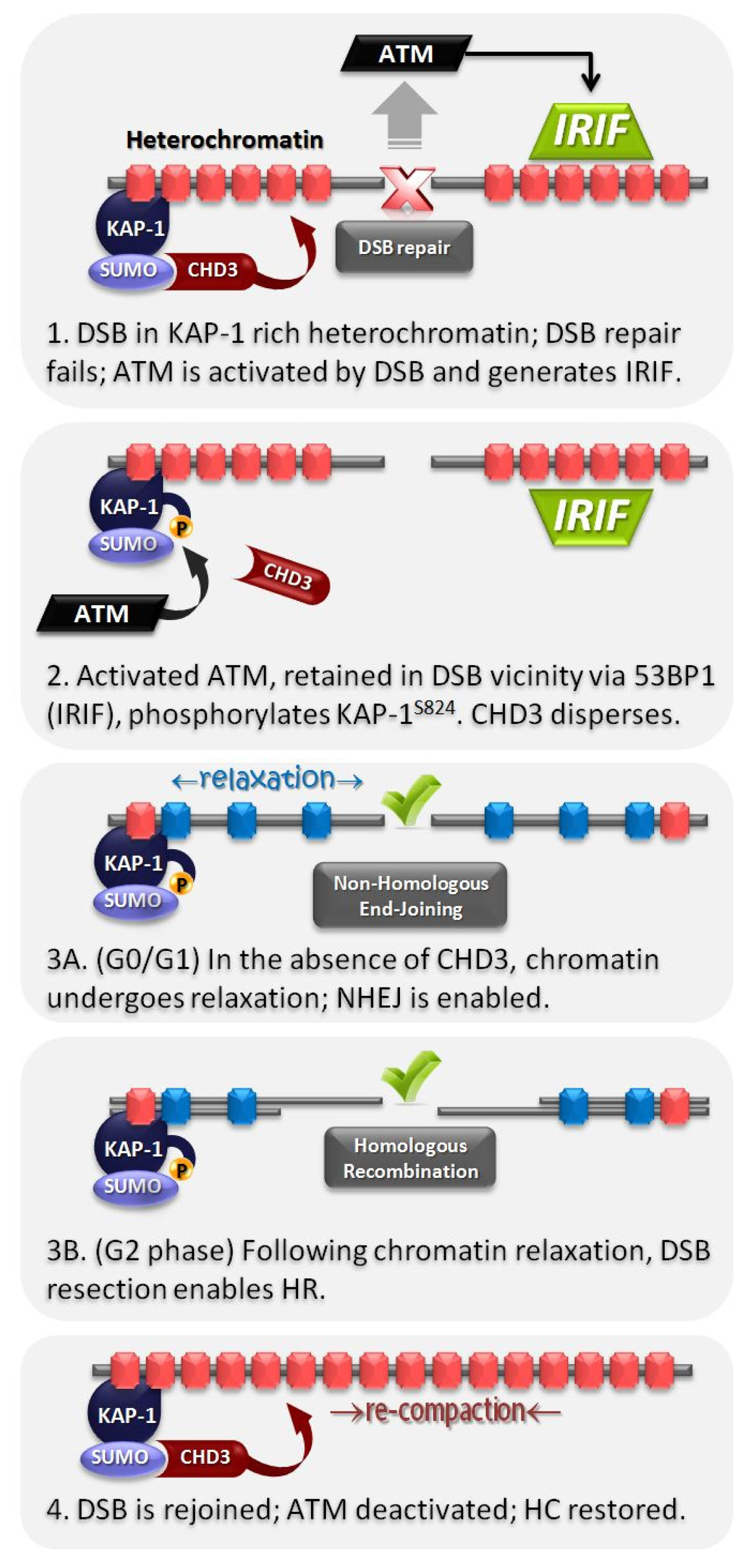 Ijms 13 11844f2 1024