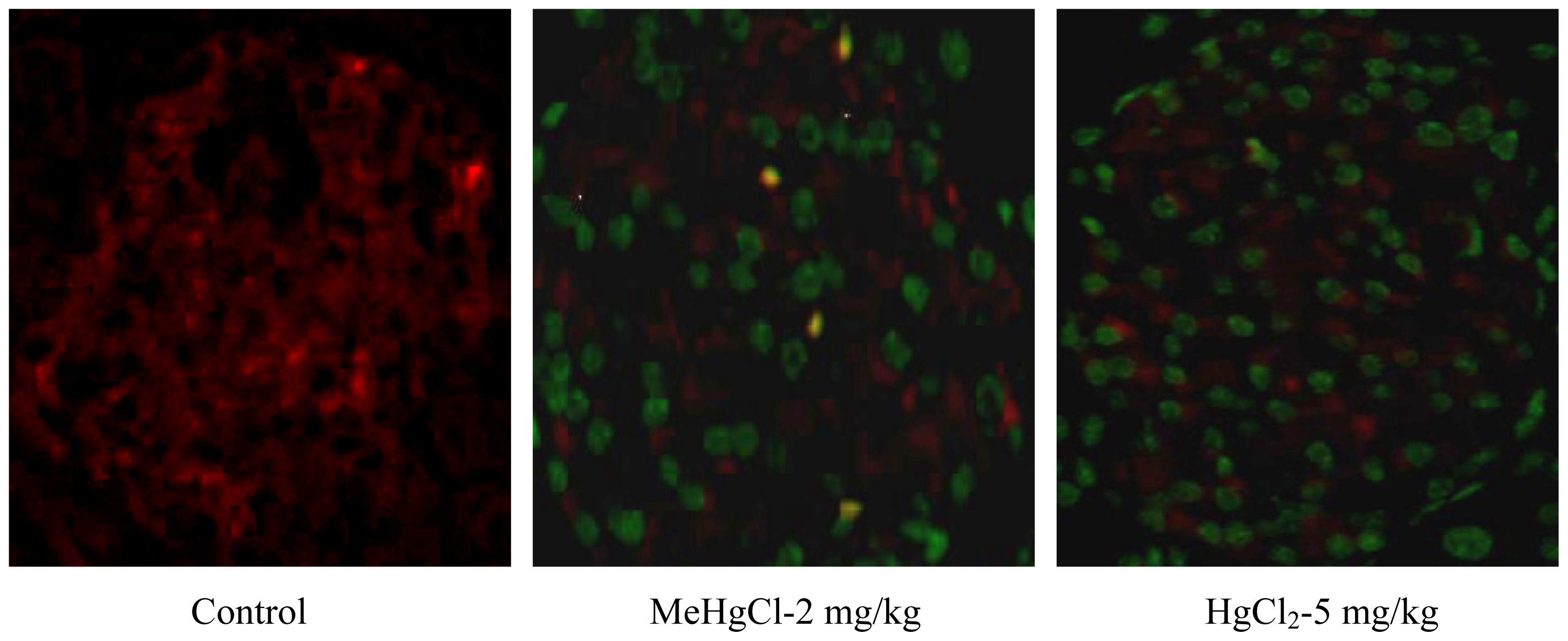 Ijms 13 12349f2 1024