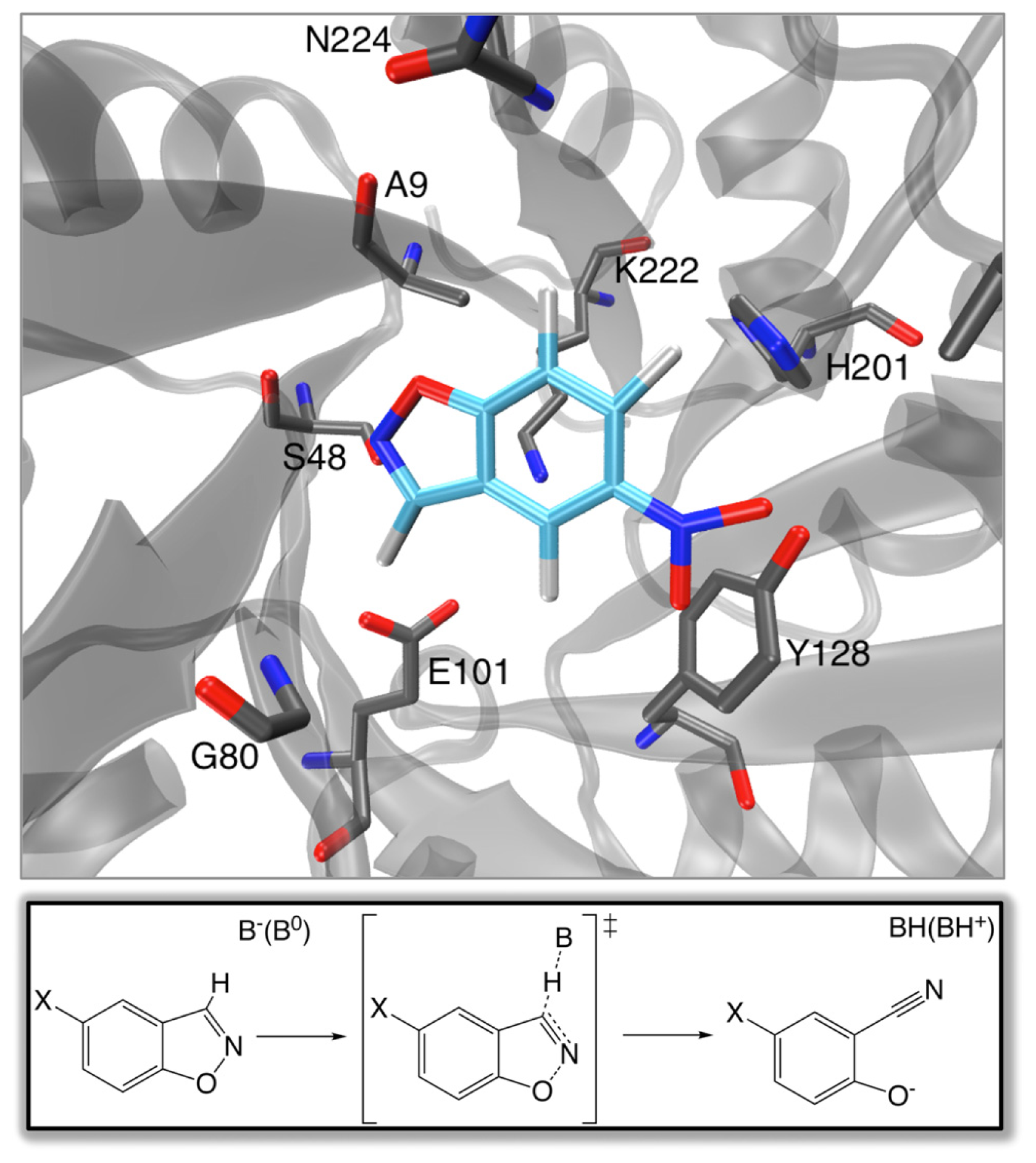 Computational Protein Engineering: Bridging the Gap between 
