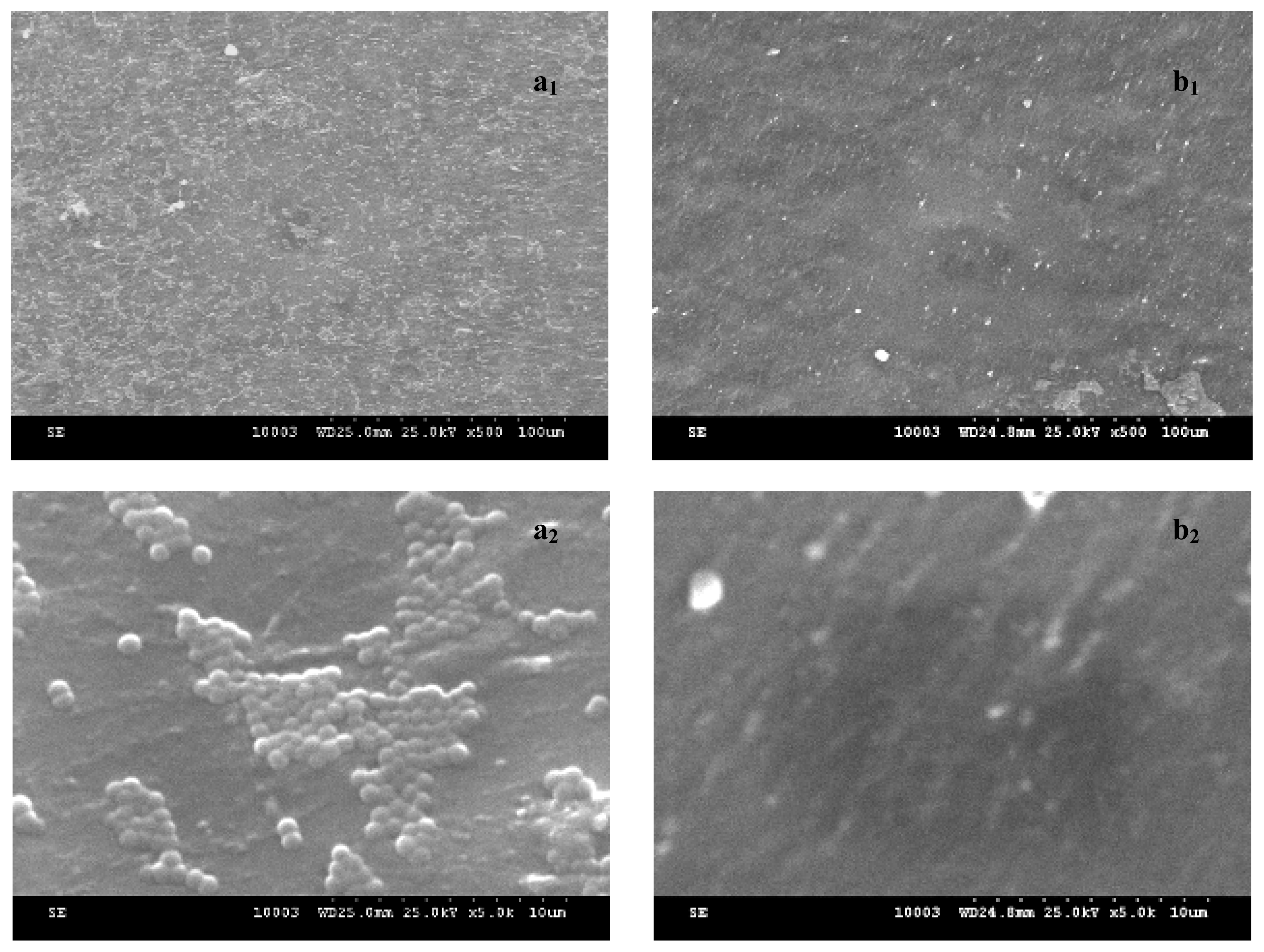 Ijms 13 12584f3 1024