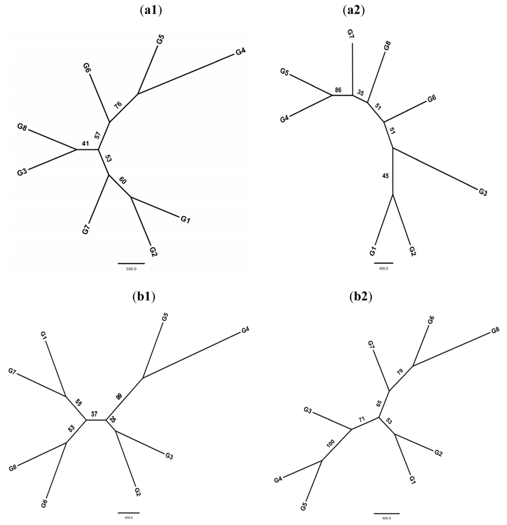 IJMS | Free Full-Text | Genetic Diversity and Population Structure 