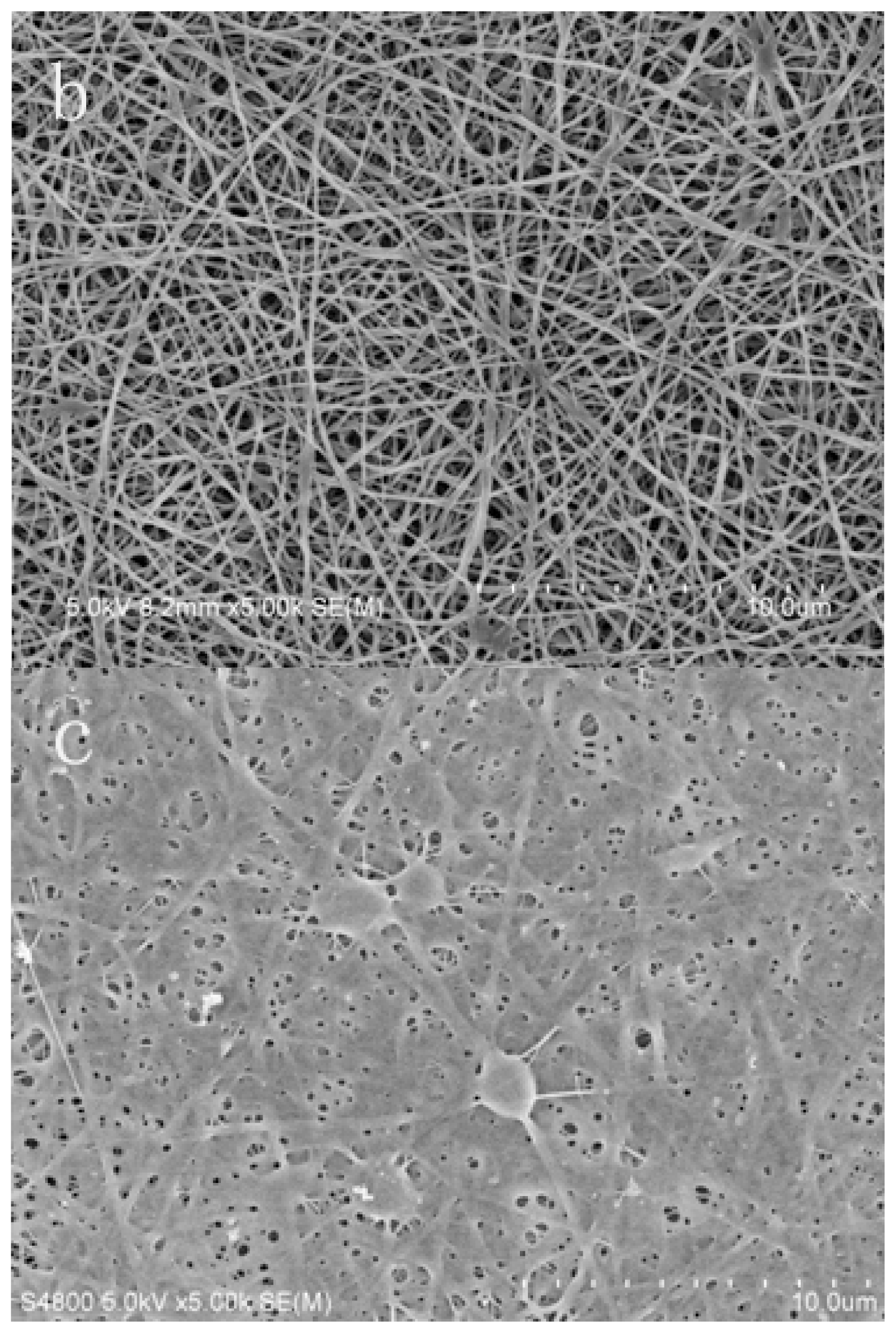 Ijms 13 12734f4b 1024