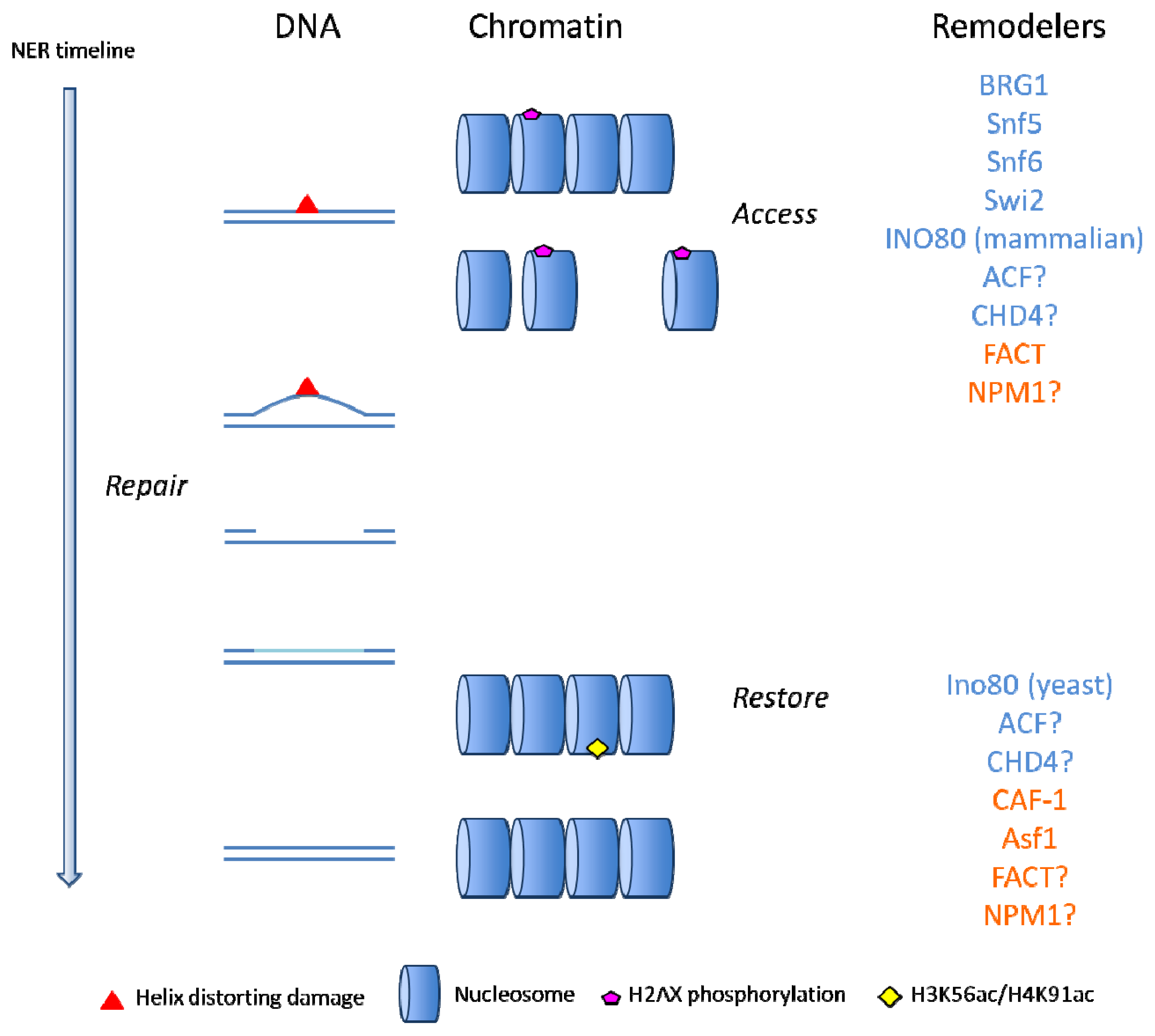 Ijms 13 13322f1 1024