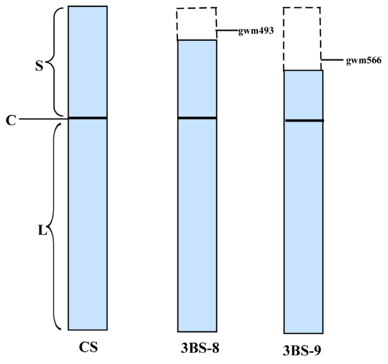 Ijms 13 13398f1 1024