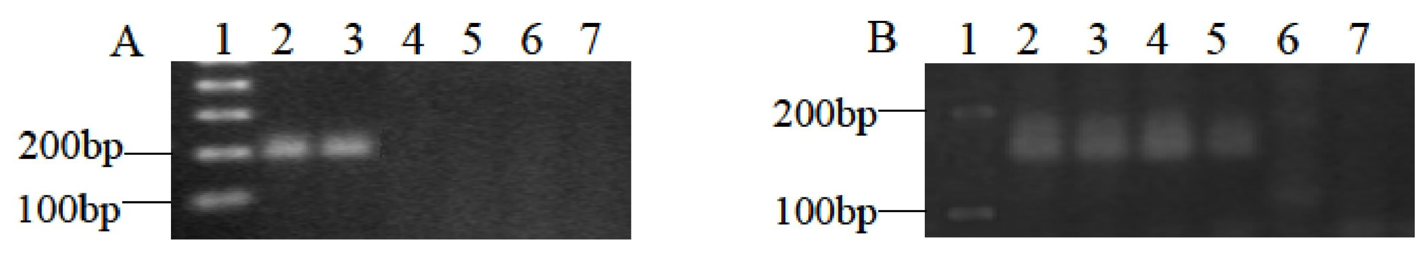 Ijms 13 13398f2 1024