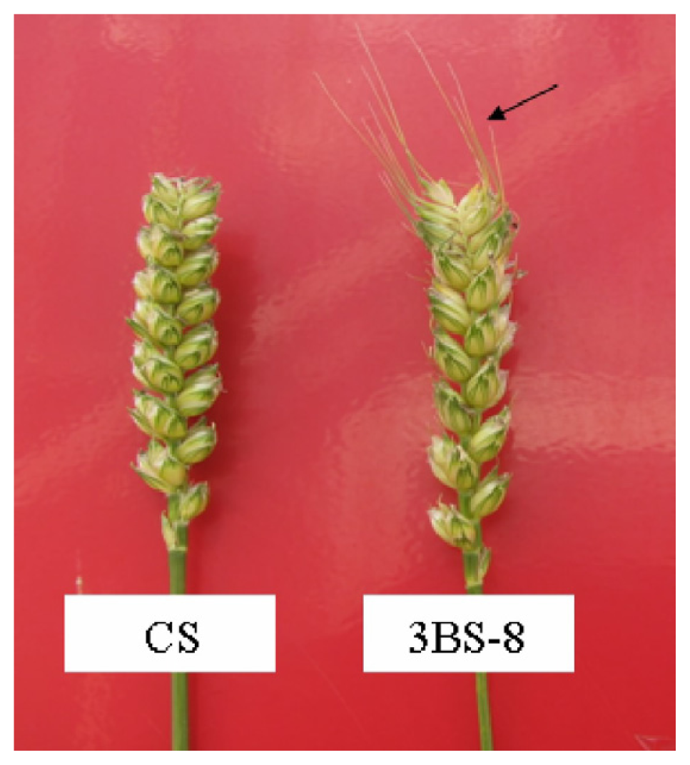 Ijms 13 13398f3 1024