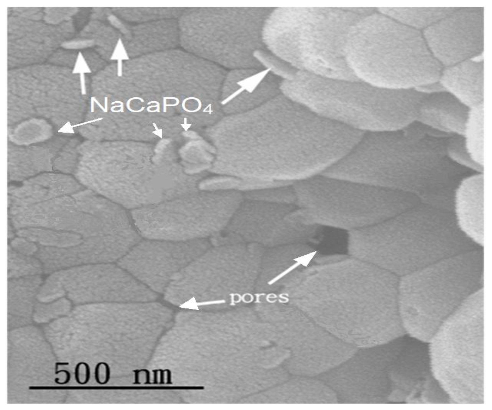 Ijms 13 13569f10 1024