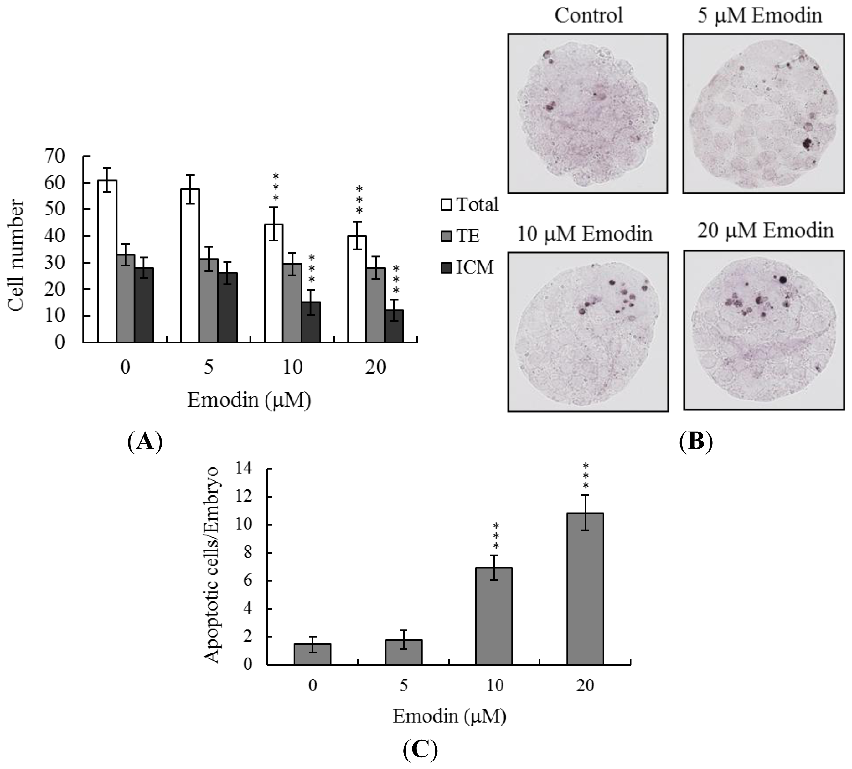 Ijms 13 13911f2 1024