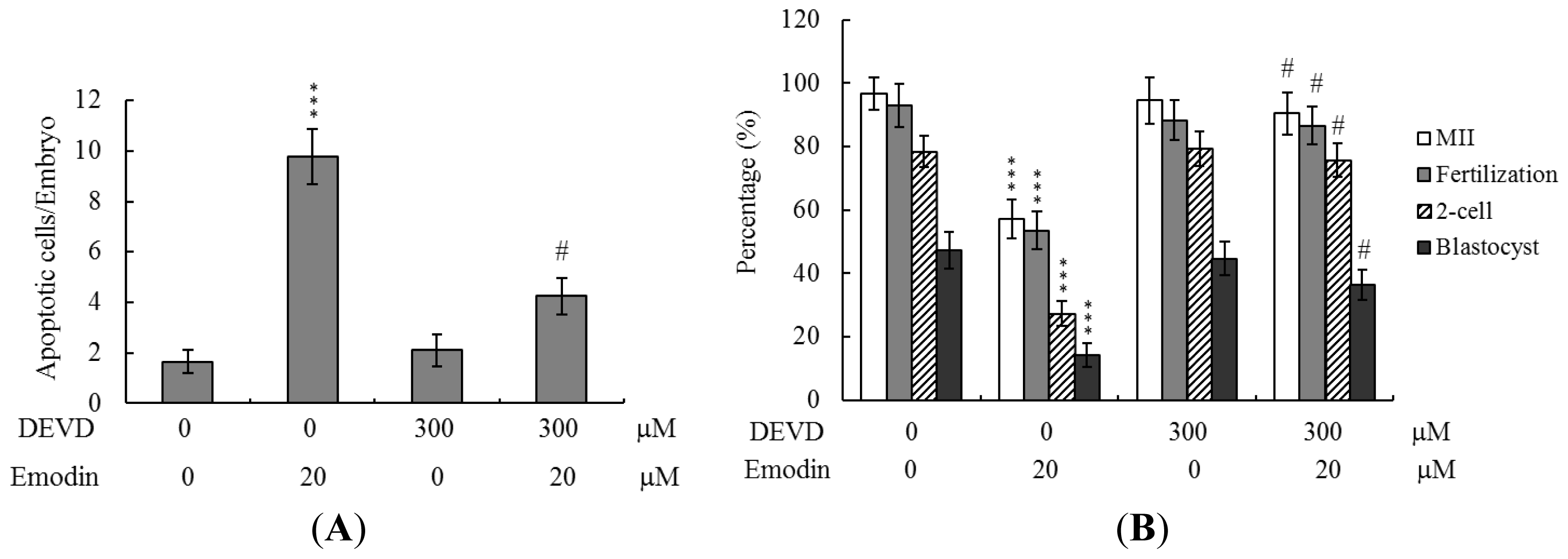Ijms 13 13911f5a 1024