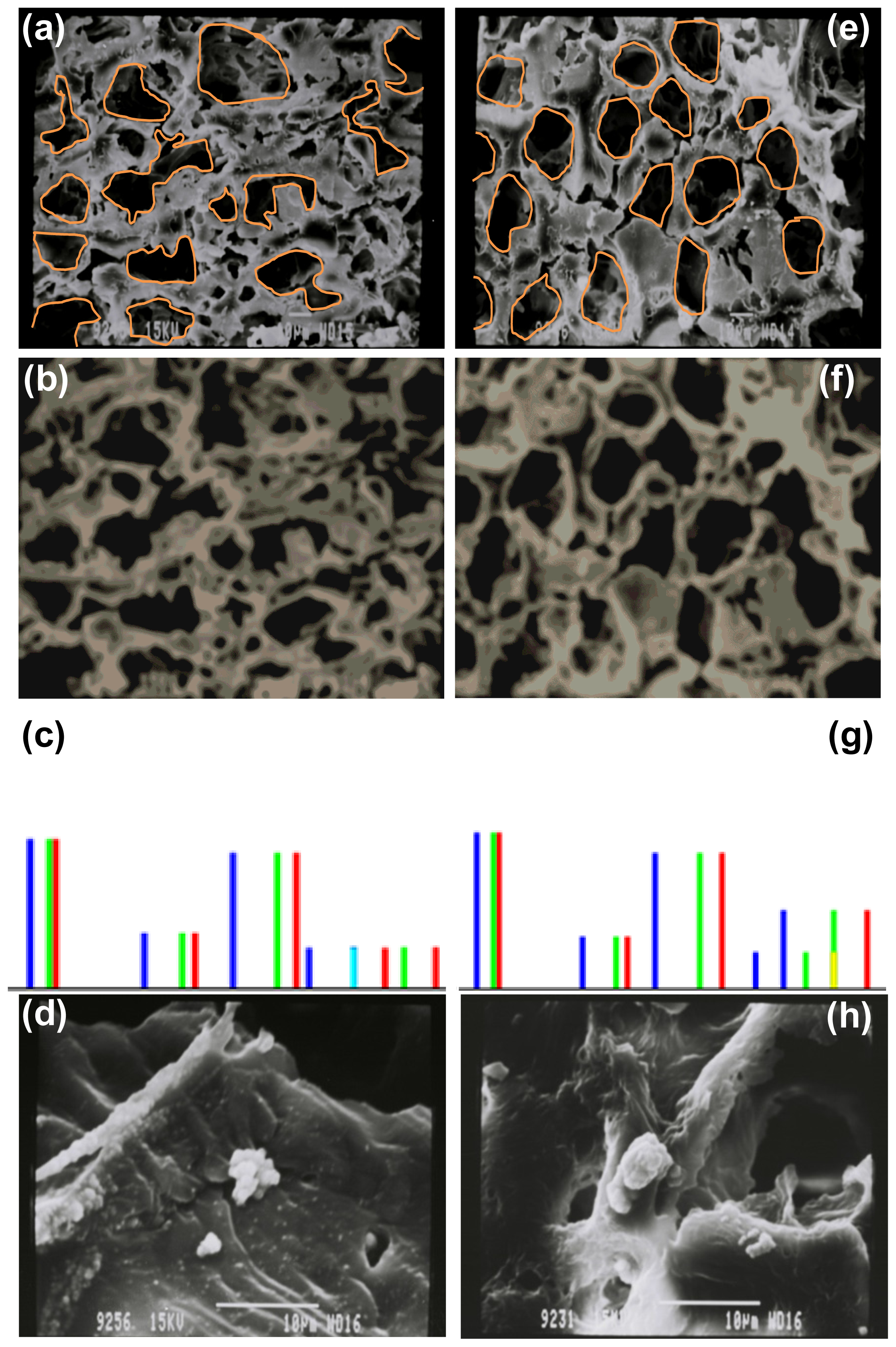 Ijms 13 13966f3 1024