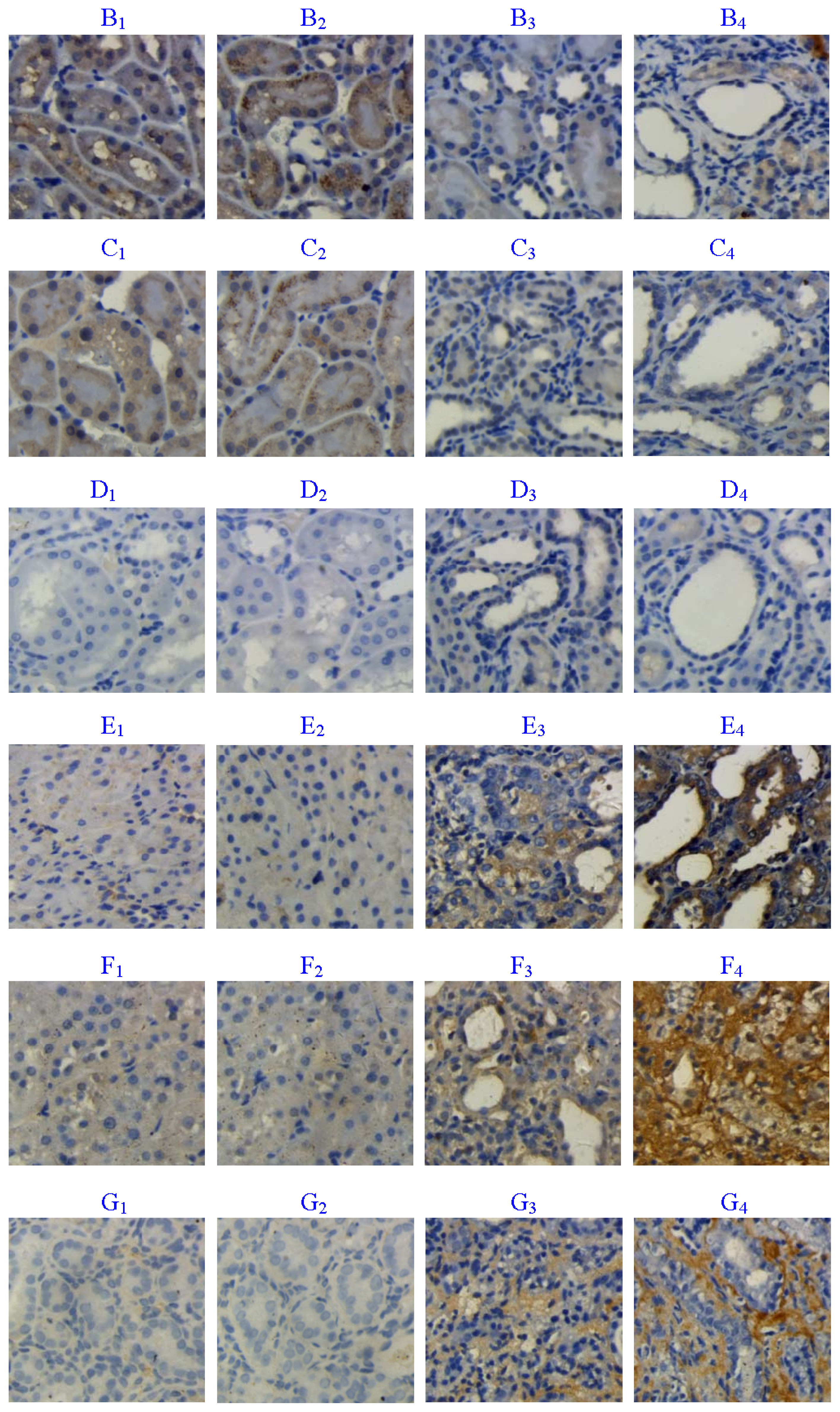 Ijms 13 14073f2b 1024