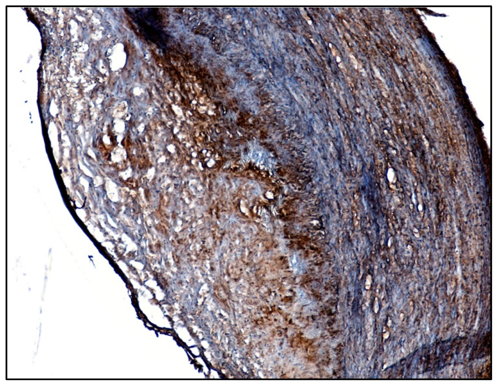 Ijms 13 14278f1 1024