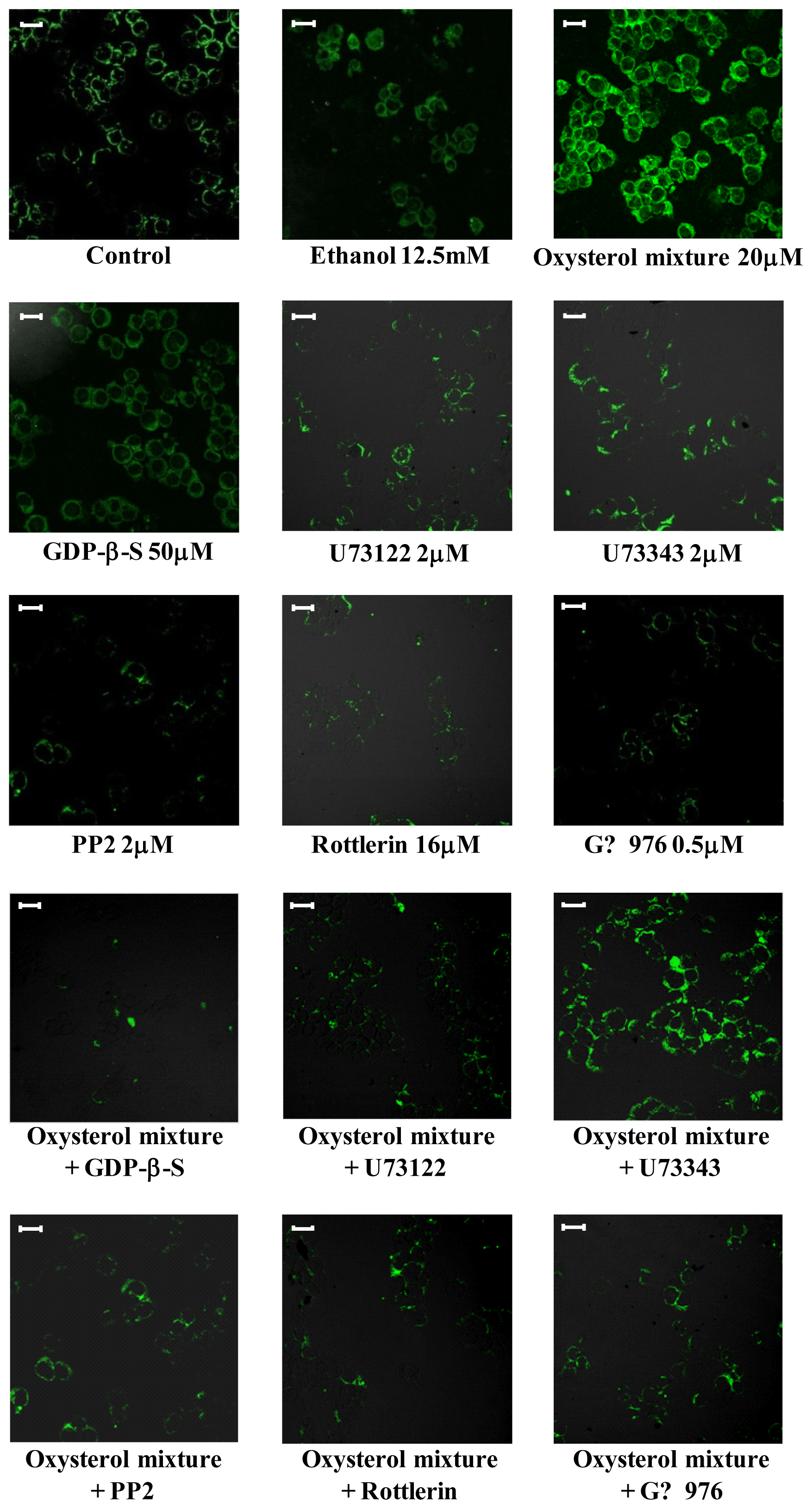 Ijms 13 14278f3 1024