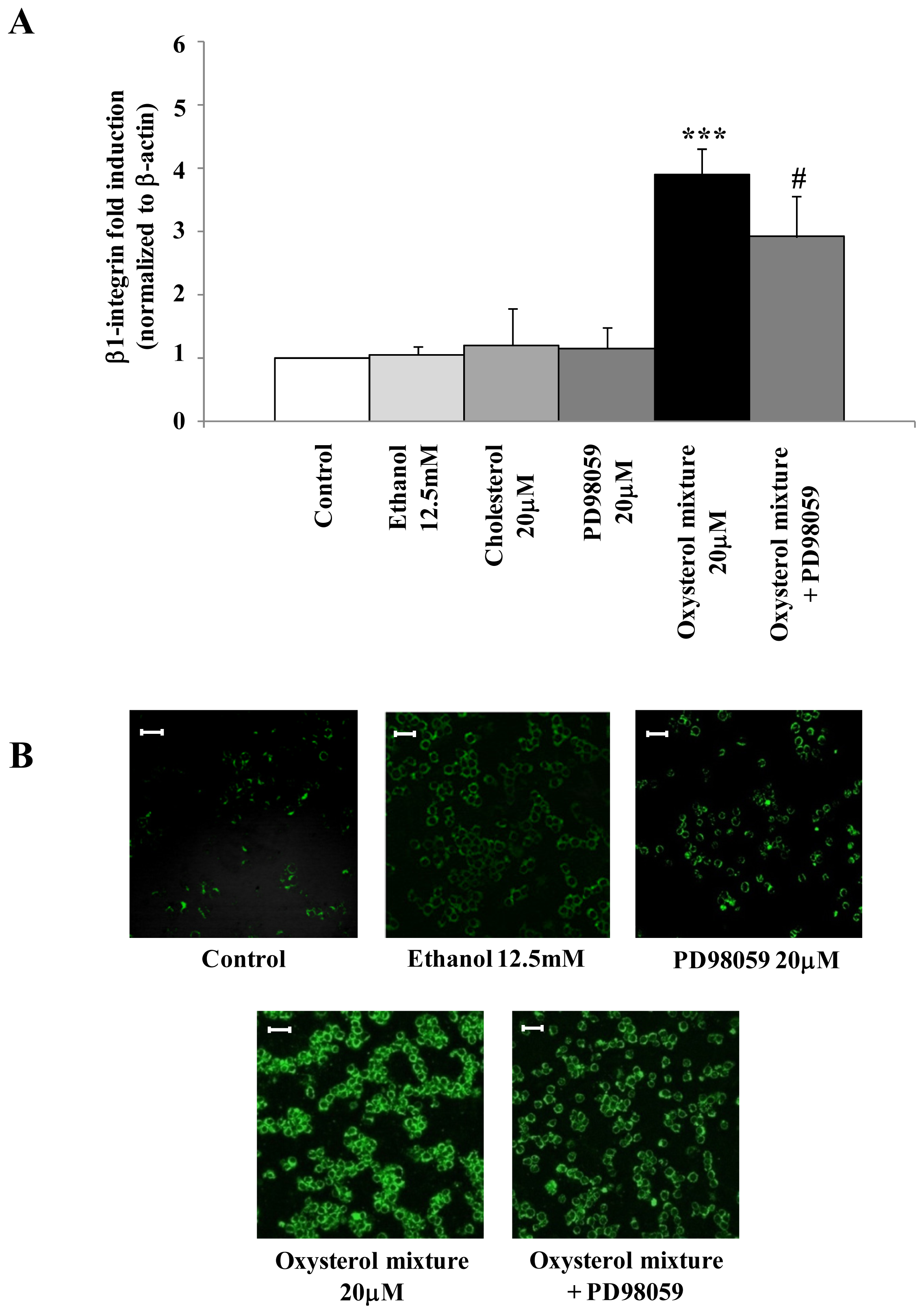 Ijms 13 14278f5 1024
