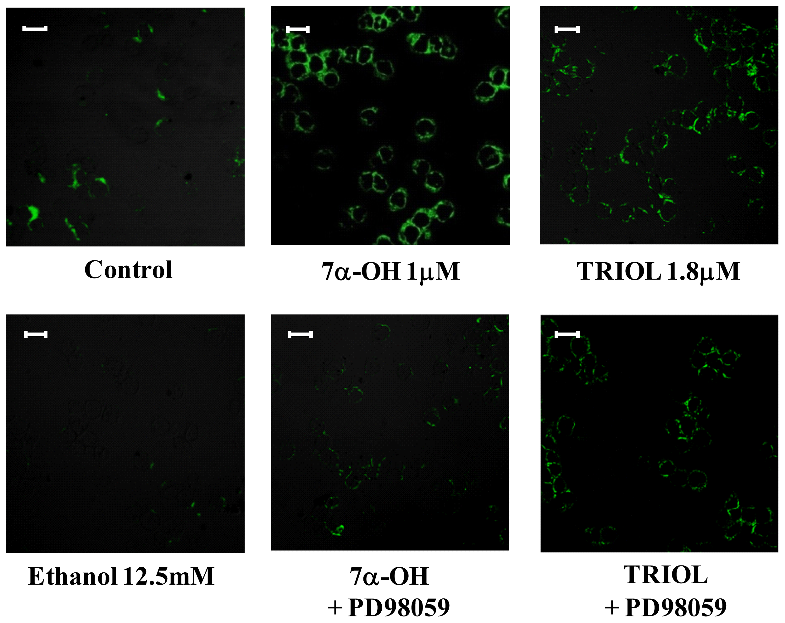 Ijms 13 14278f6 1024